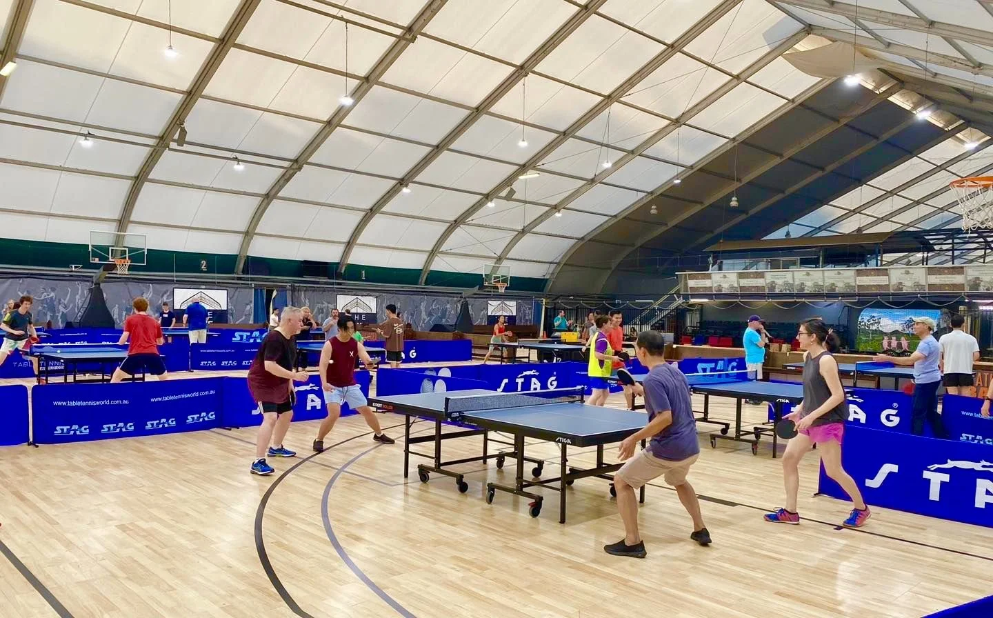 Folge uns Höhe Bewältigung table tennis act Seife nimm Medizin Sanierung