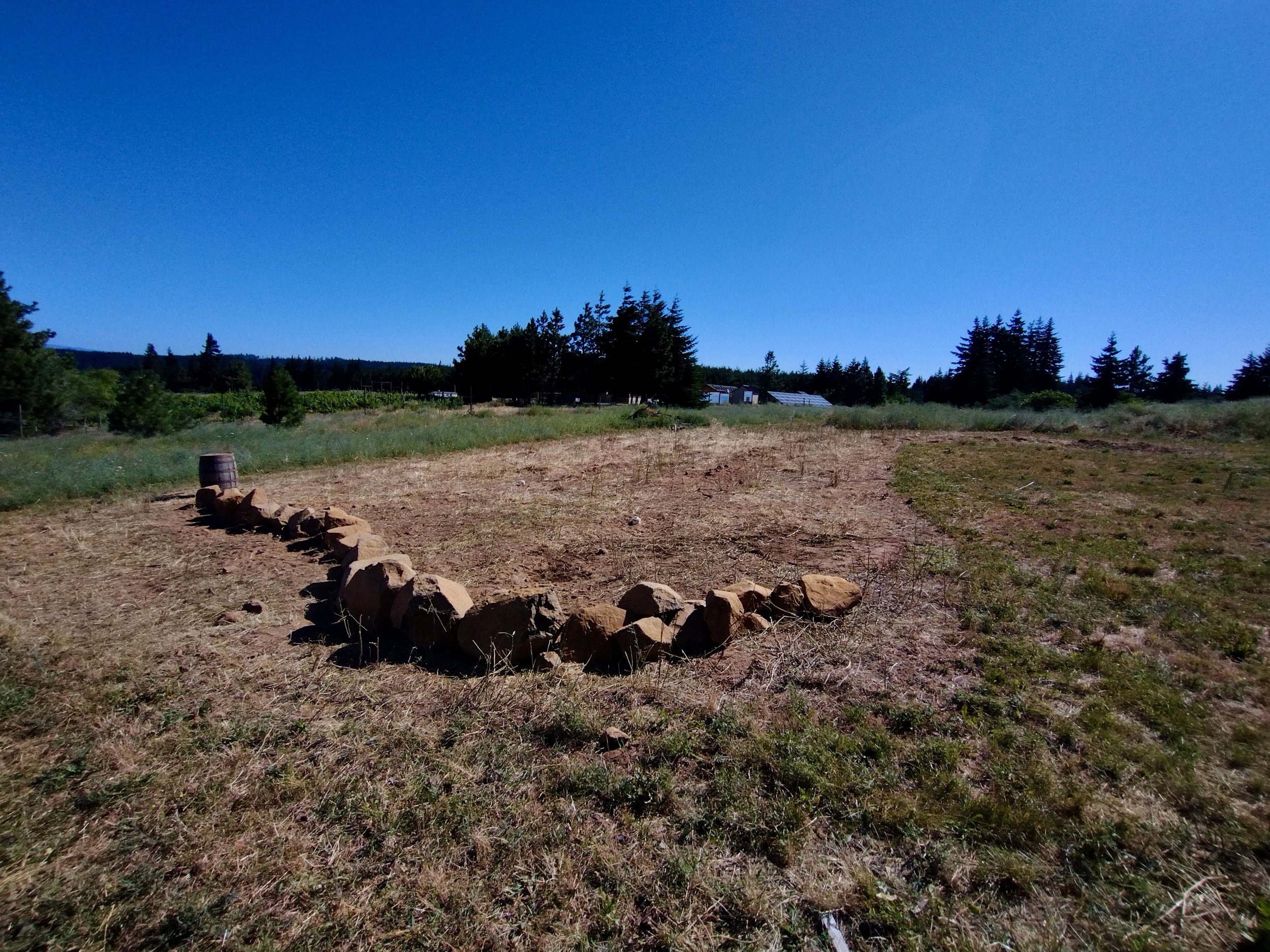 This drainfield didn't stand a chance. Knapweed be gone!