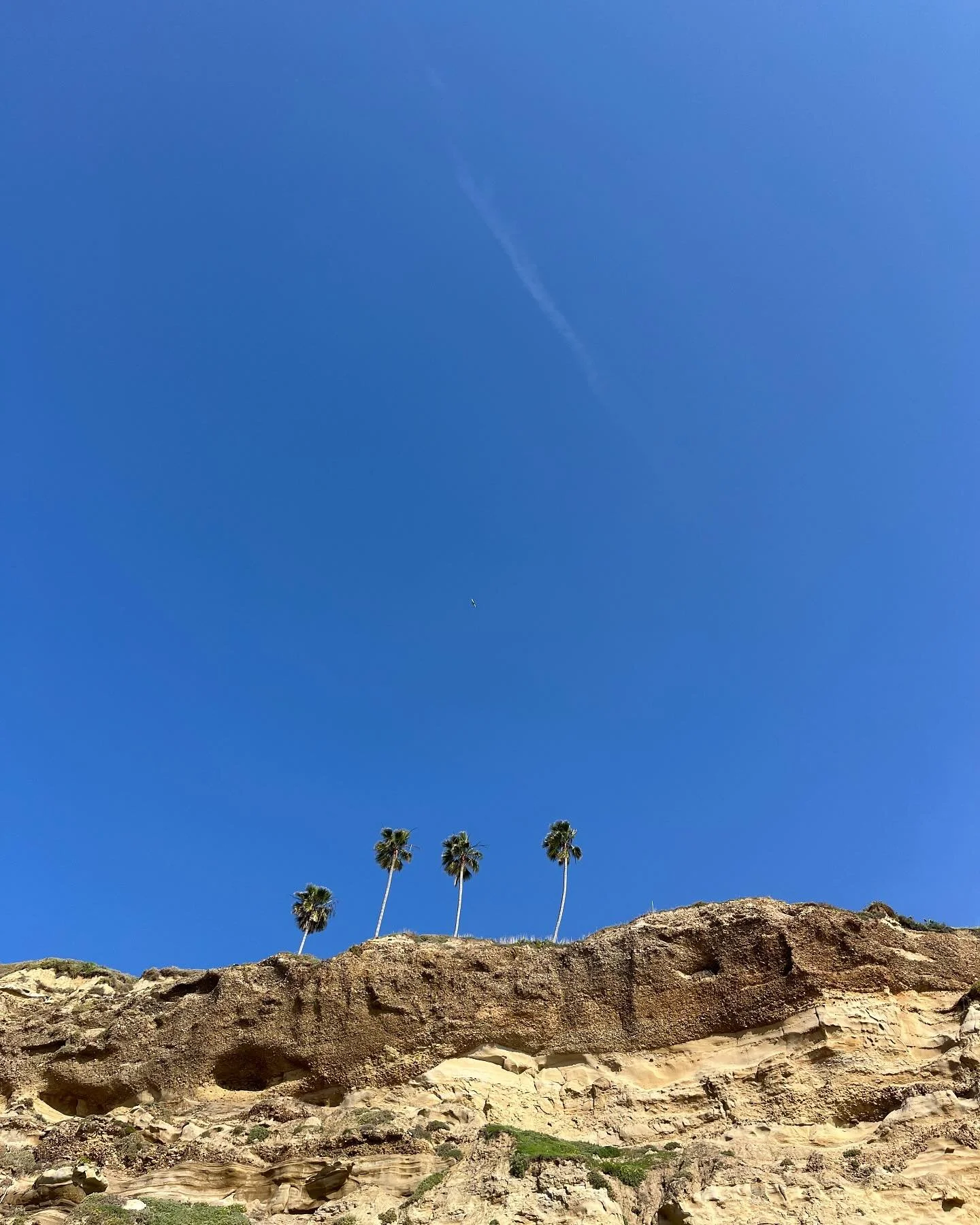 Mid-season sunshine break in sunny Southern California. Just enough sunshine to fuel me through spreadsheet season until I reemerge in June. ☀️