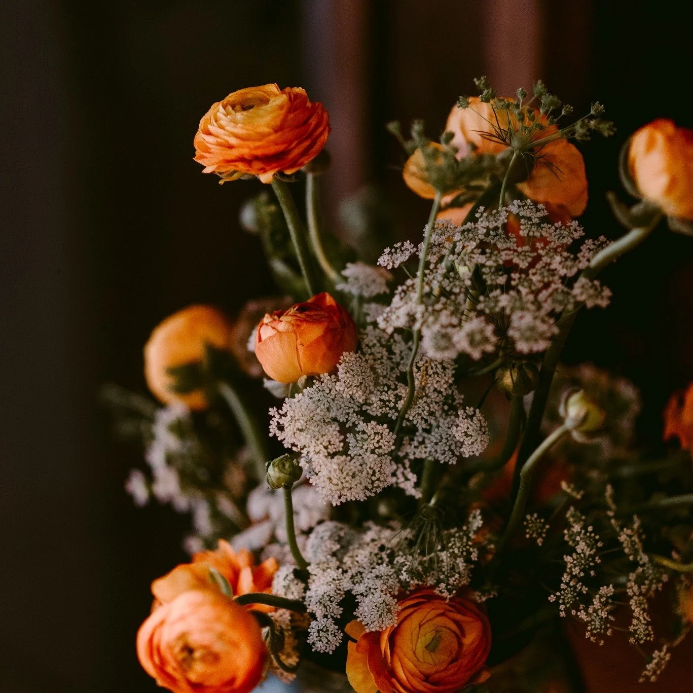 🧡

📸  @juliepepinphoto