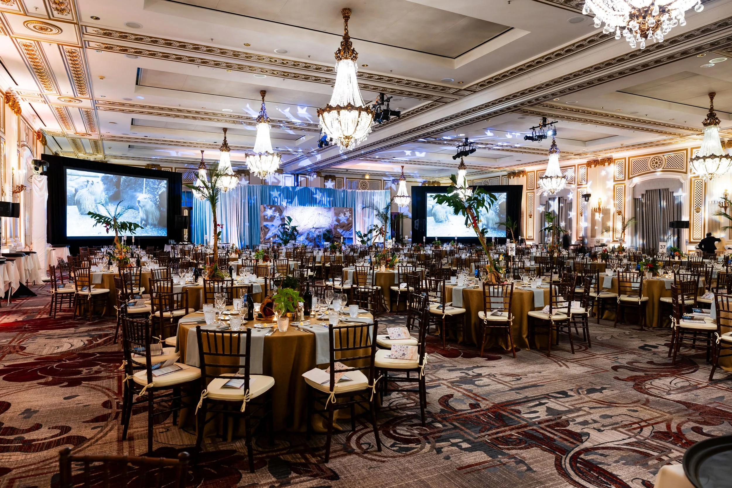 Must-Ask Venue Questions Before You Book from a Nonprofit Event Planner