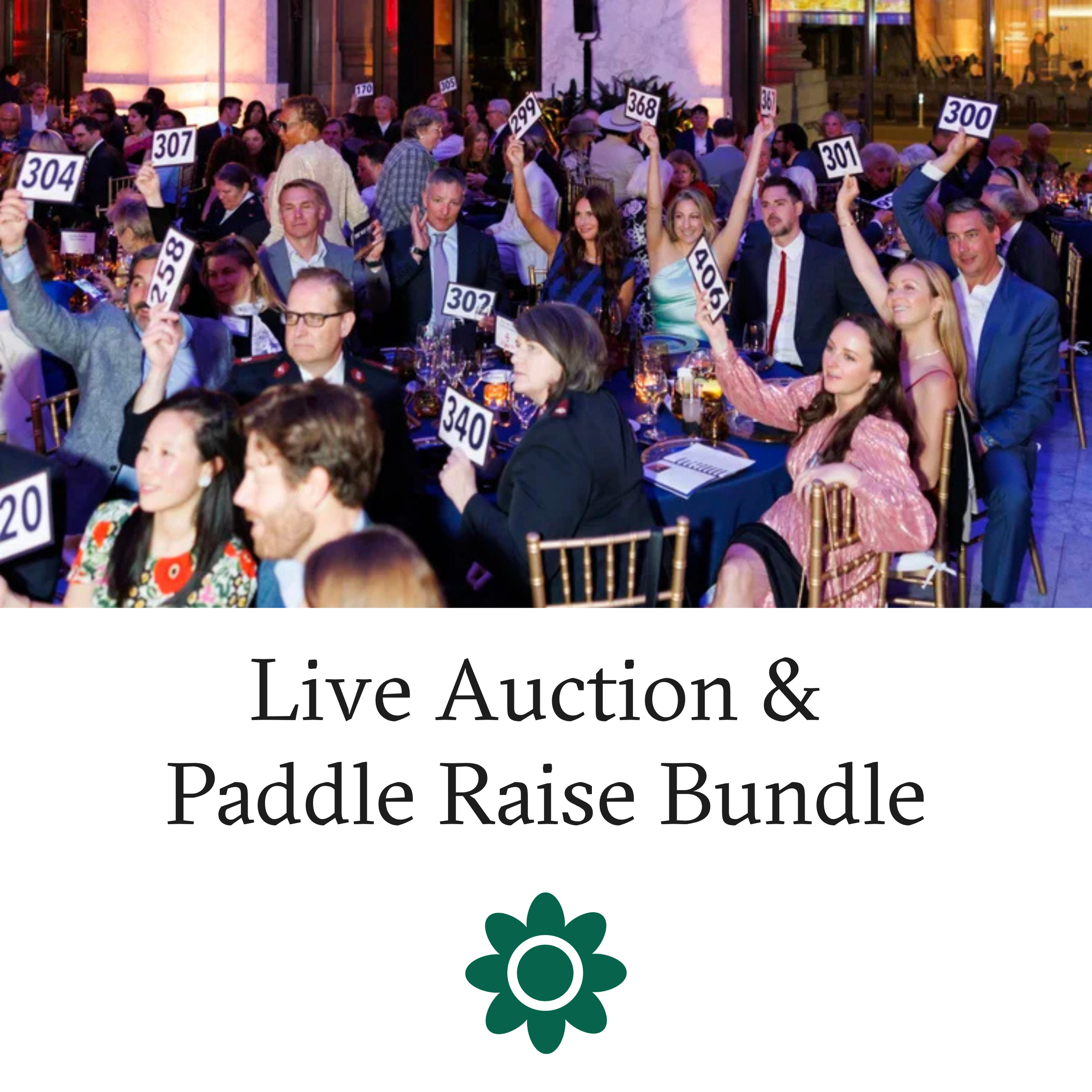 Live Auction & Paddle Raise Bundle