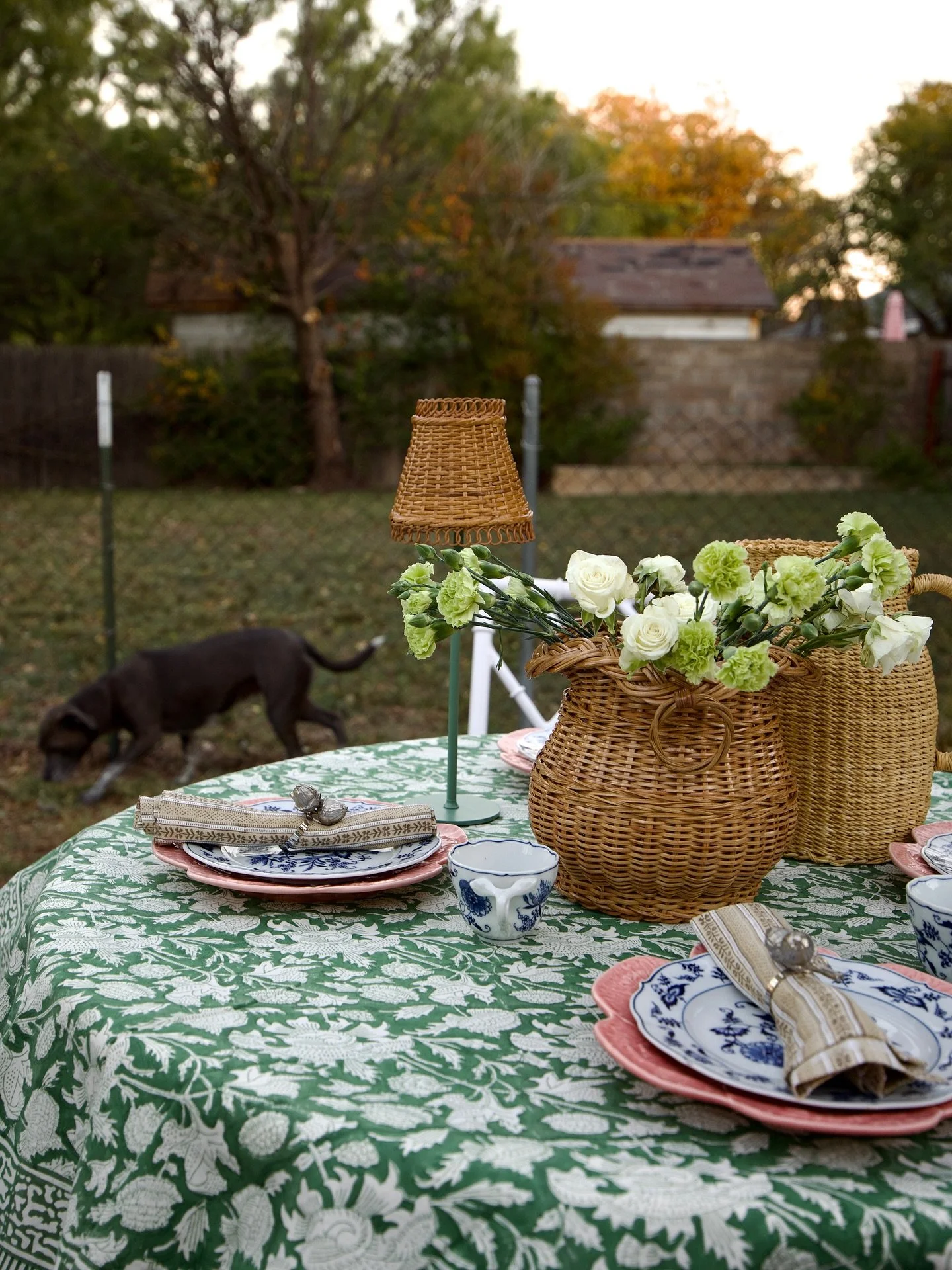 A little fall harvest tablescape with collected china &amp; a few local favorites 

Peep the treat hunter🐾