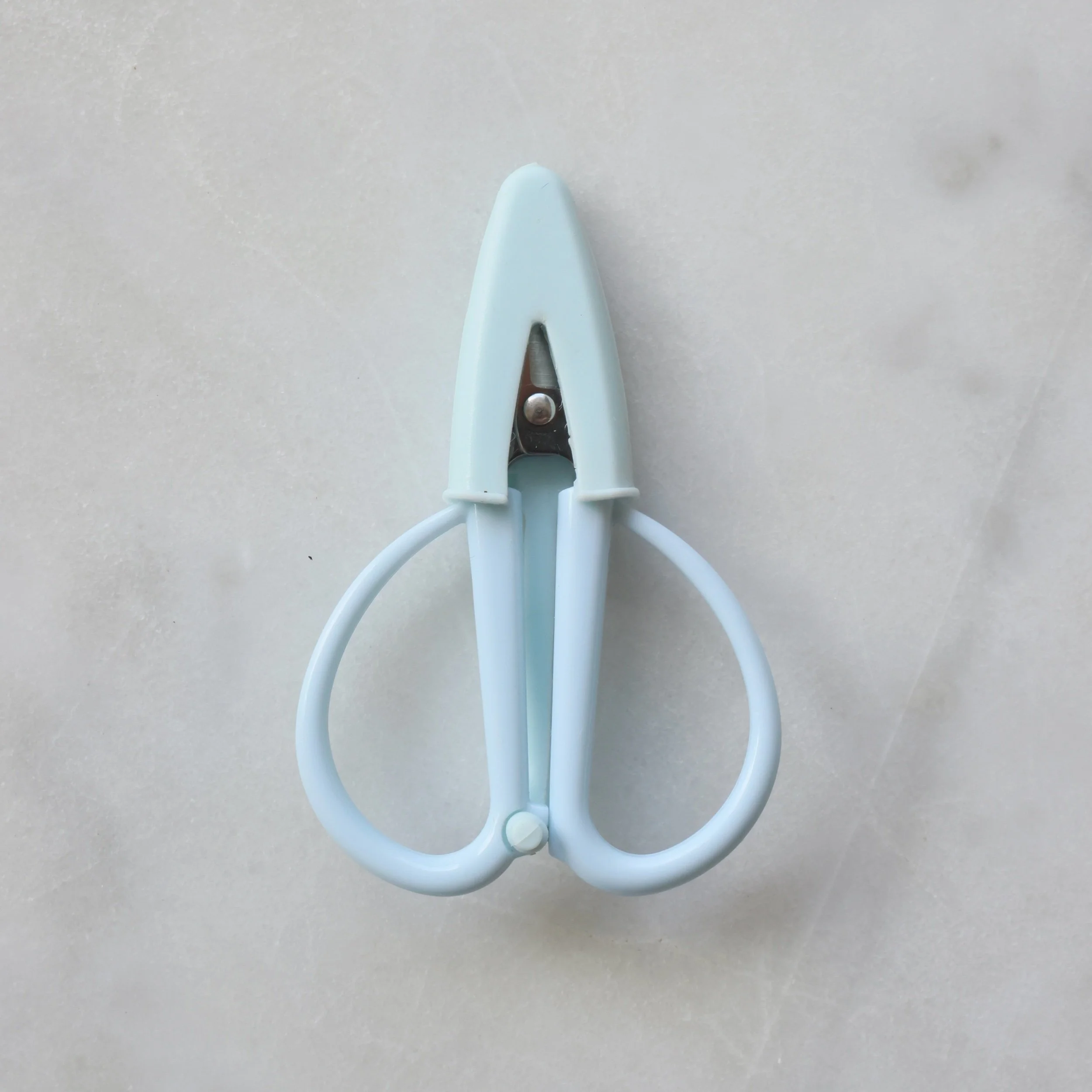 Needlepoint Scissors