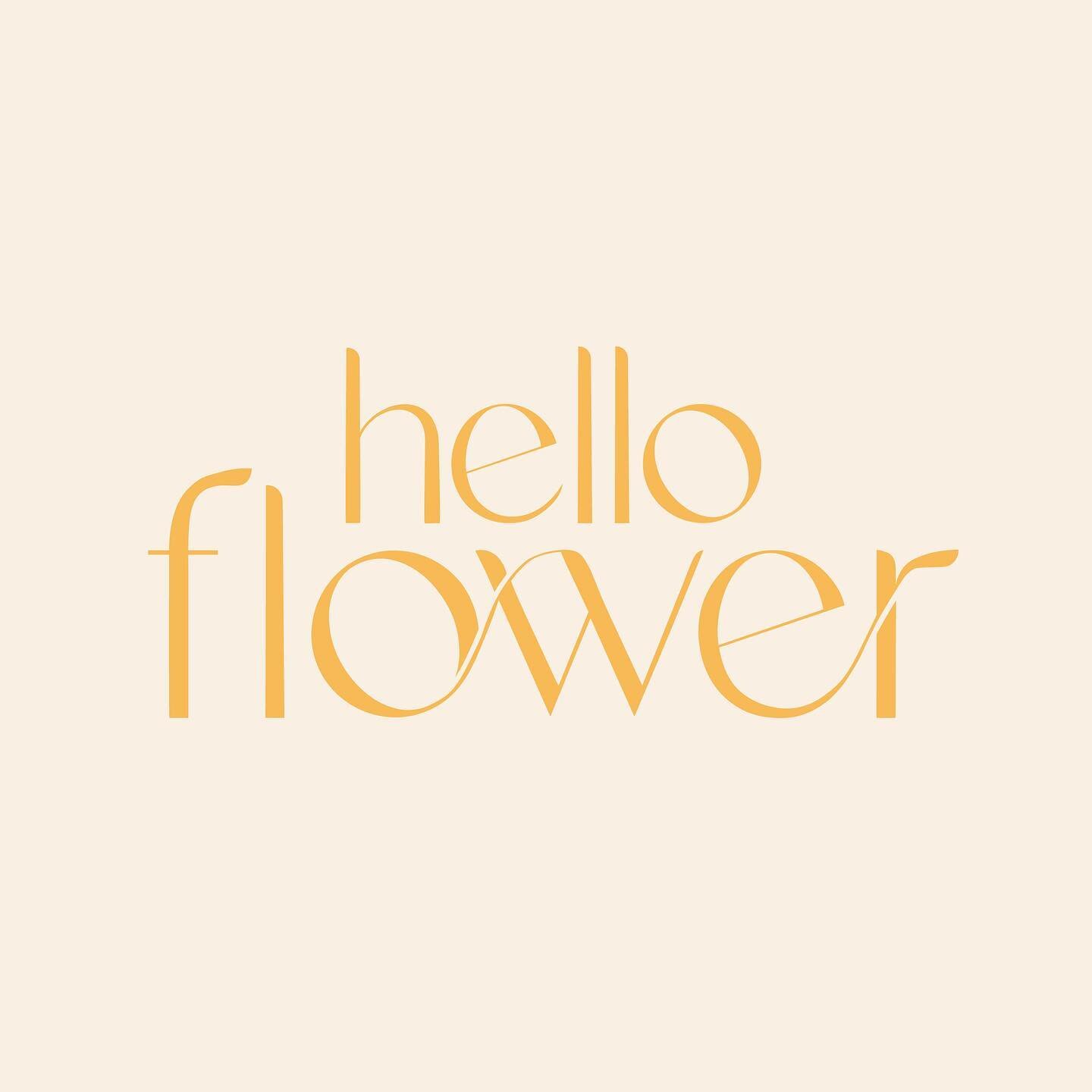 We want to share our beautiful branding and website done by the loveliest girl @creative.fiona 
We were so lucky to have her on board, she captured our vision perfectly and how she put up with us I don&rsquo;t know! Thanks so much Fiona 🌼🤍 

#brand