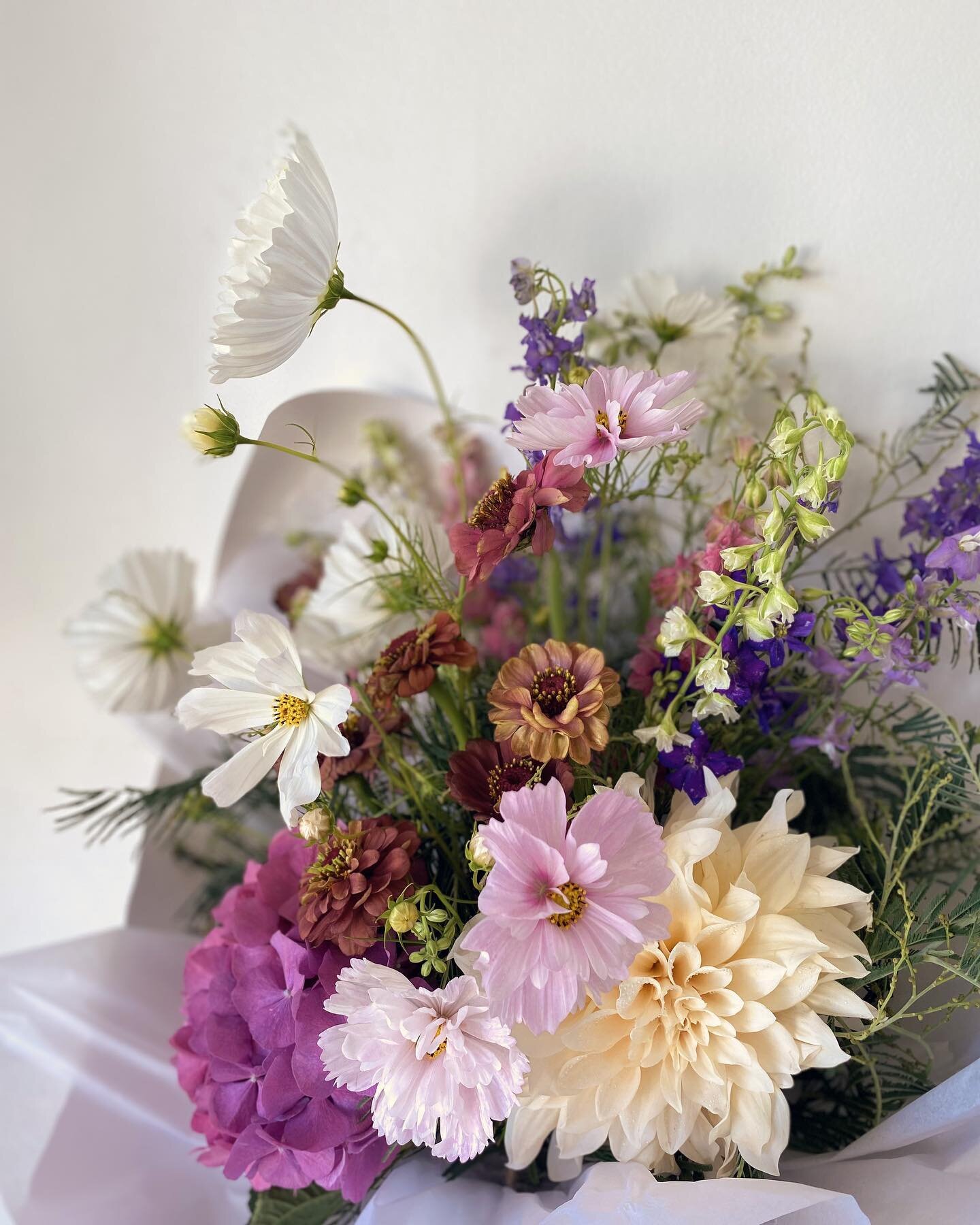 Large seasonal bunch for your Wednesday 🤍 cosmos has got to be a favourite flower this season! 
.
.
.
.
.
#nelsonnz #nelsonflowers #nelsonflorist #floristnelsonnz #floristnz #seasonalflowers #autumn #colours #dahlias #cosmos