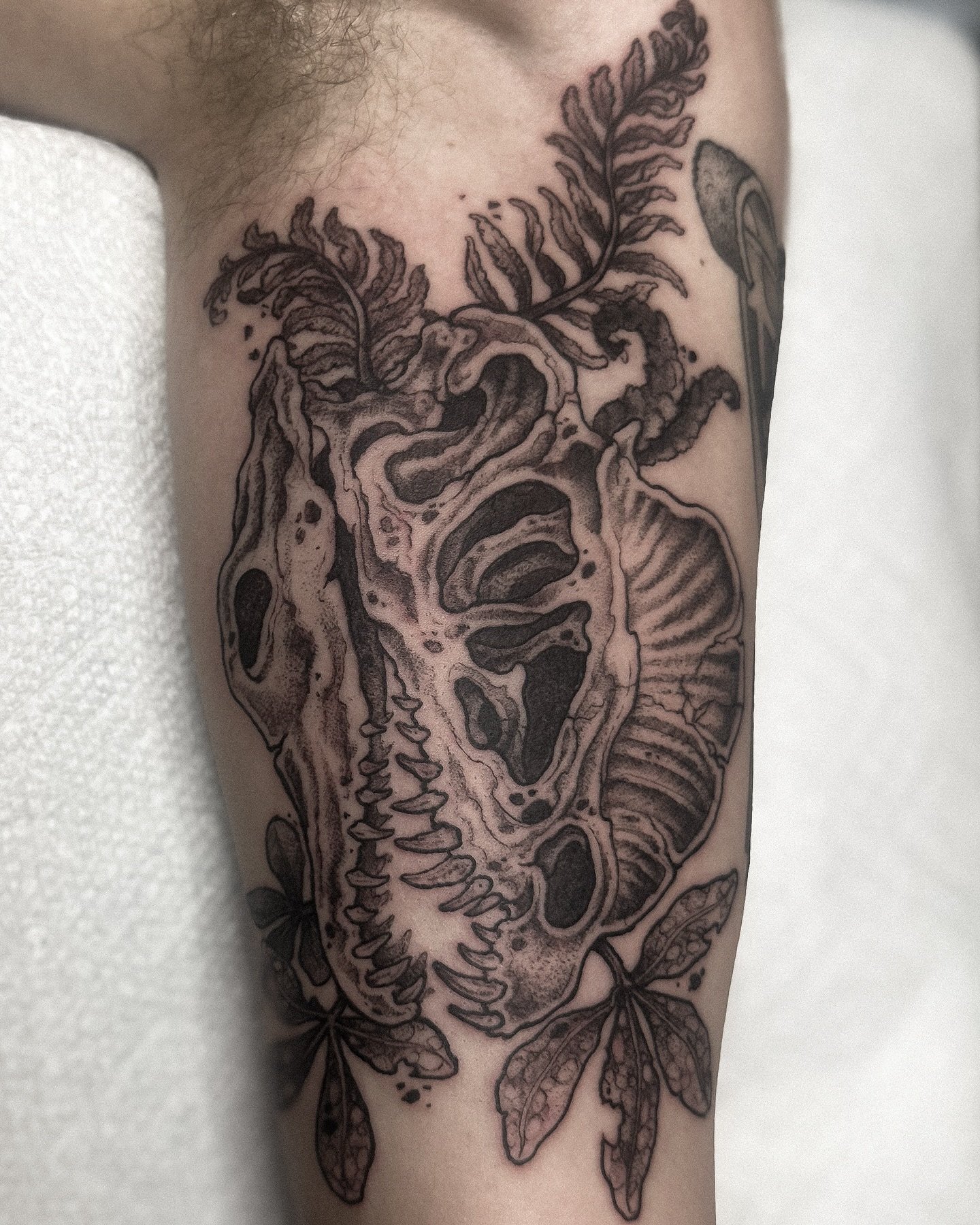 Dilophosaurus skull, complete with some Early Jurassic flora! This was such a blast to draw and tattoo, thank you so much for the trust and letting me poke your armpit 🖤 Would love to do more dino skulls!