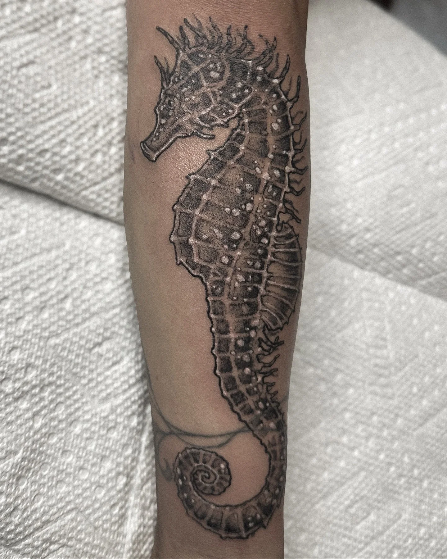 love a lil seahorse moment 🤍 thanks so much for toughing out that wrist bit, a delight to tattoo you as always! vines not by me