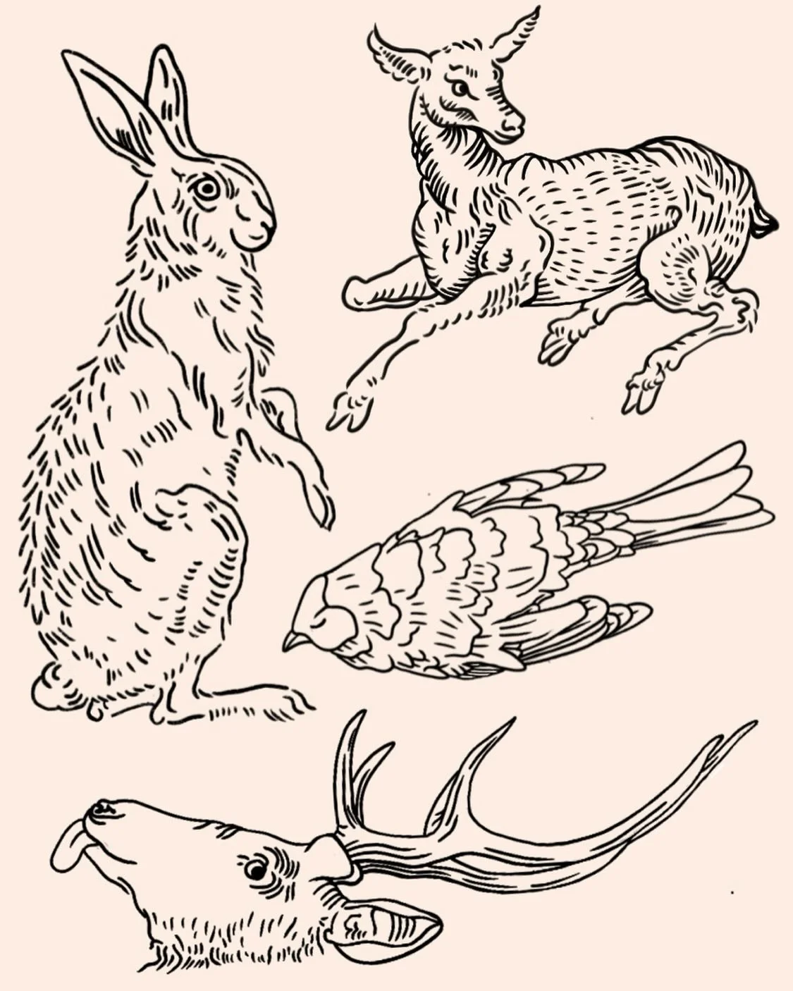 Some creatures to share!