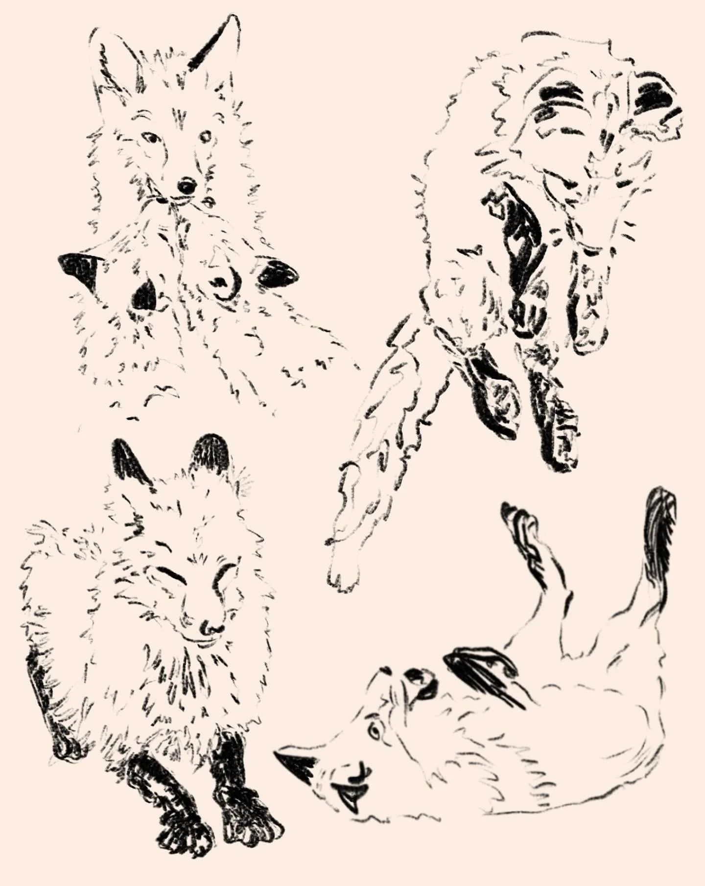 frickin&rsquo; foxes!! 
enjoying a looser style my friends so expect more of that.