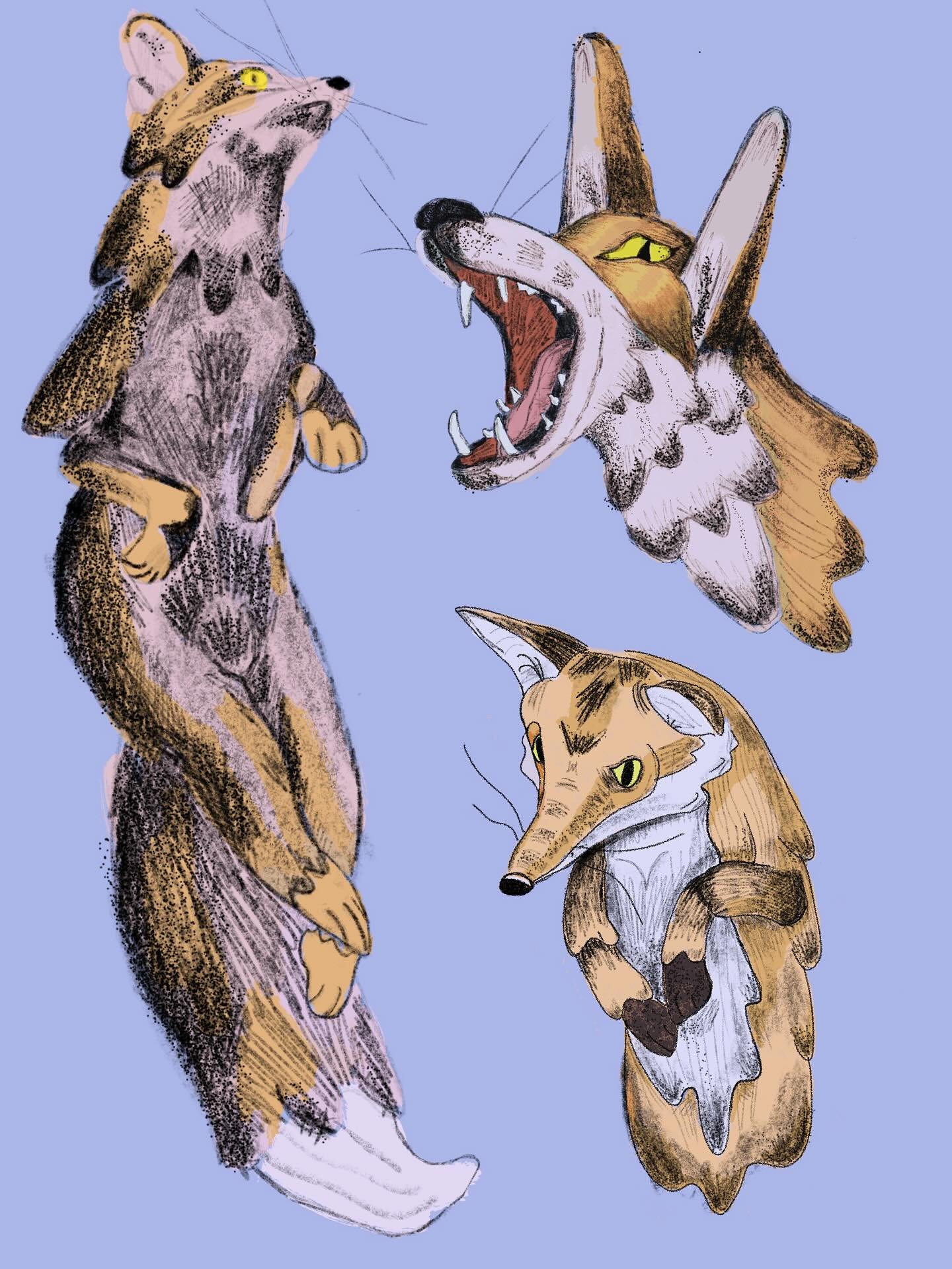 My foray into digital art of course begins with foxes. aaand me living life.