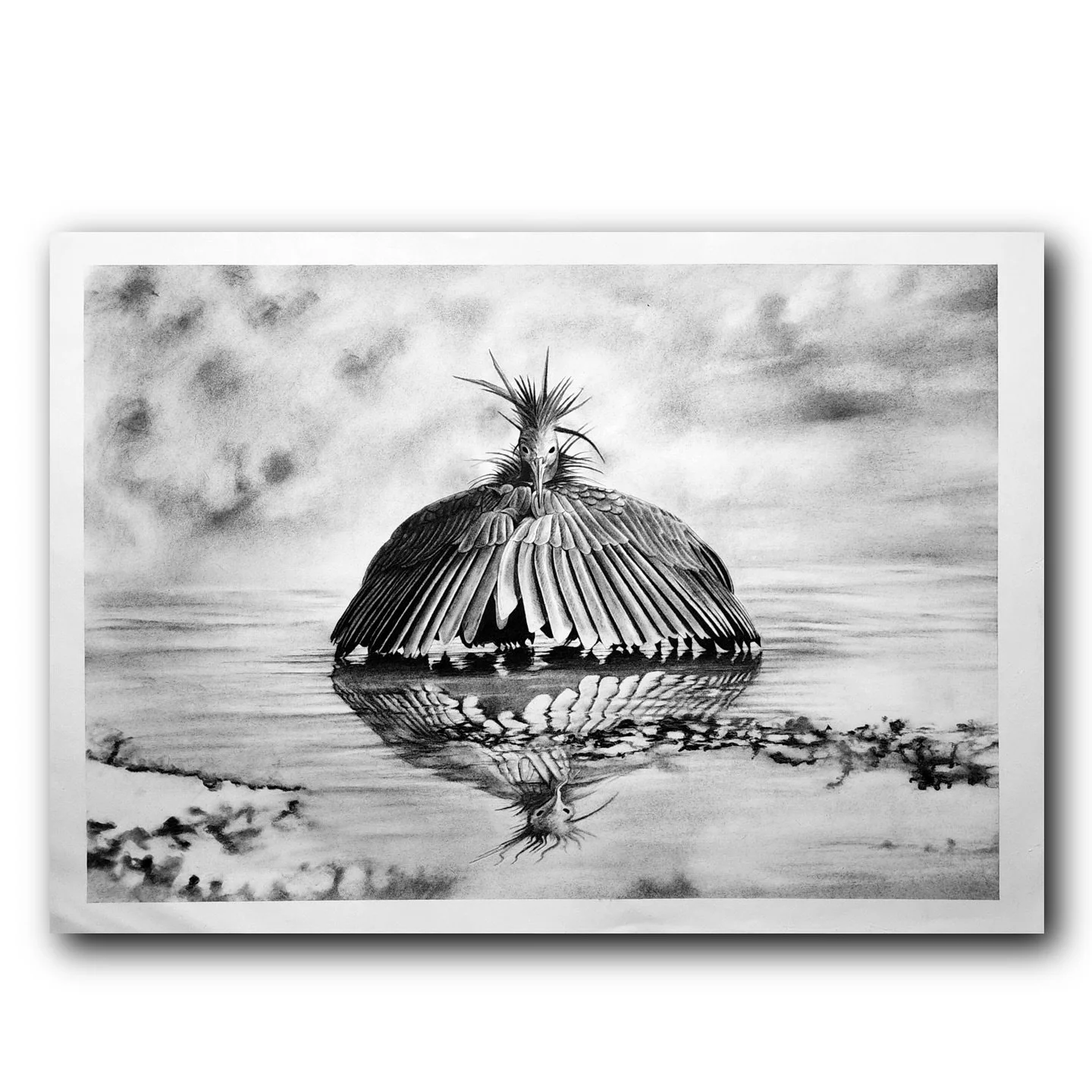 Black heron. 30x22&rdquo; charcoal on paper 

Black herons are seen as sacred messengers and symbols of prosperity and good fortune. Thank you for trusting me with this commission.  Looking forward to seeing it framed.

Commissions are open for drawi