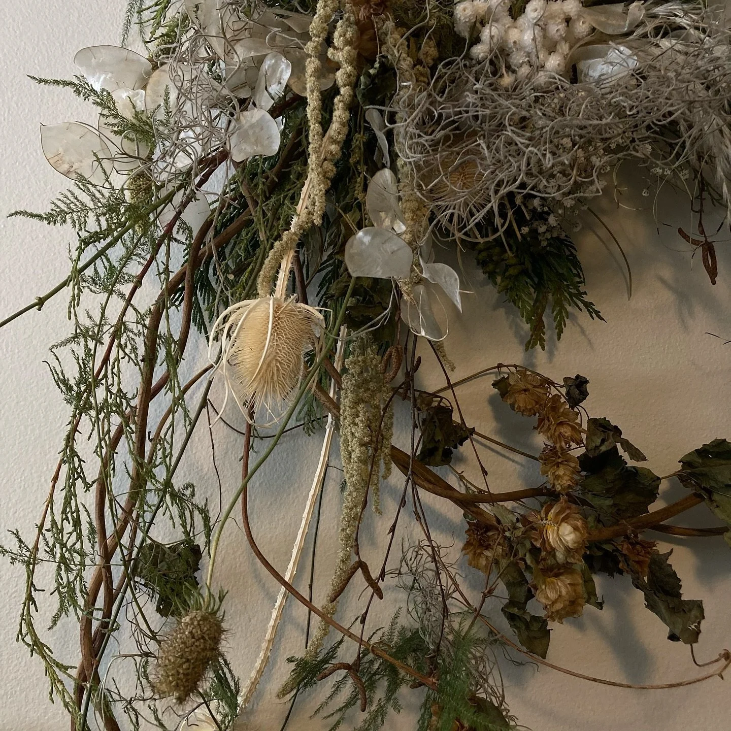 Some closeups of my dried wedding florals displayed in my home (from @the_wildbunch !! Highly recommend for the particular/artsy) 🩶