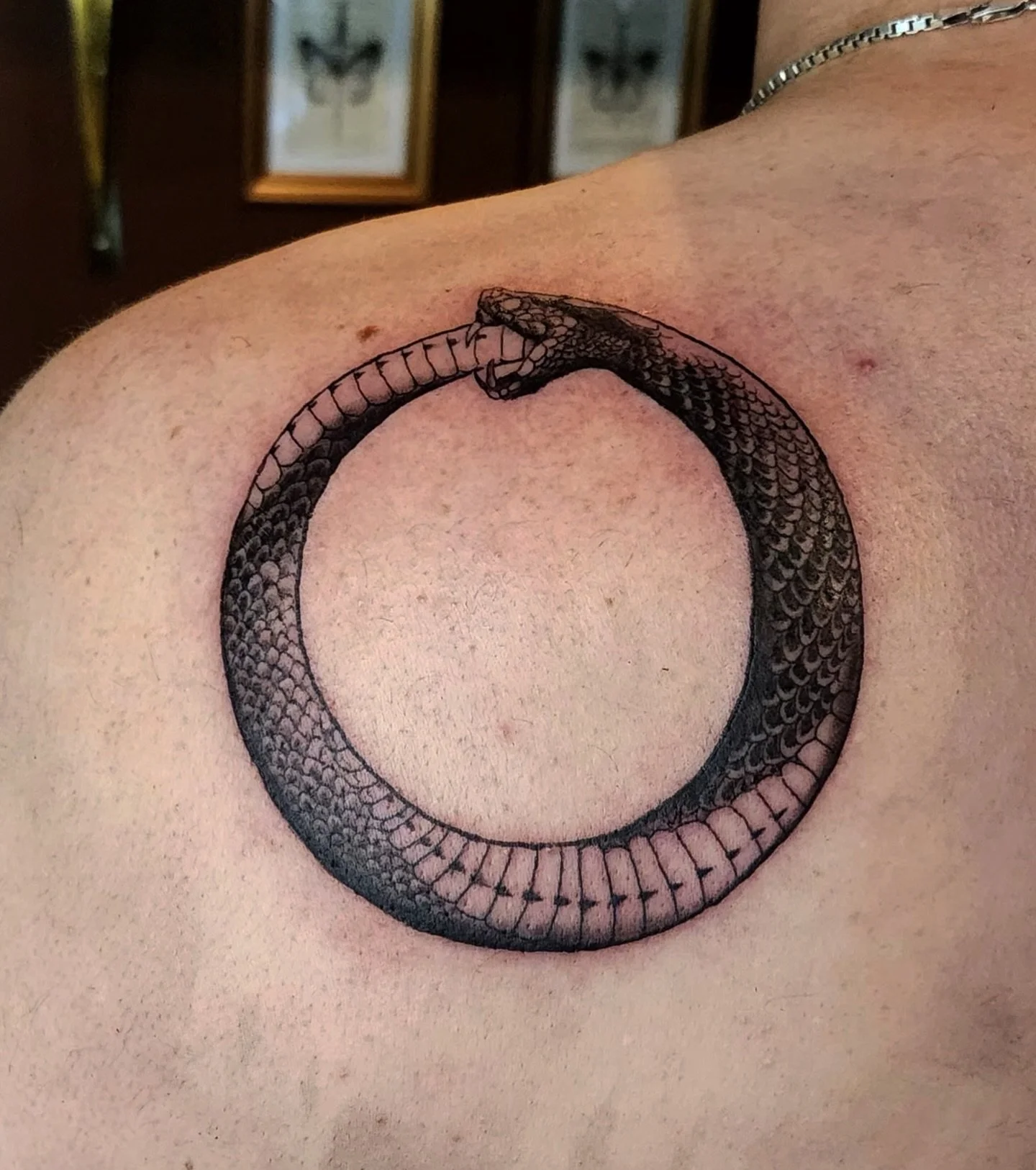 Thanks for picking me for your first tattoo! 
.
.
.
.
#ouroborus #snaketattoo #tattoo #vancouvertattoo