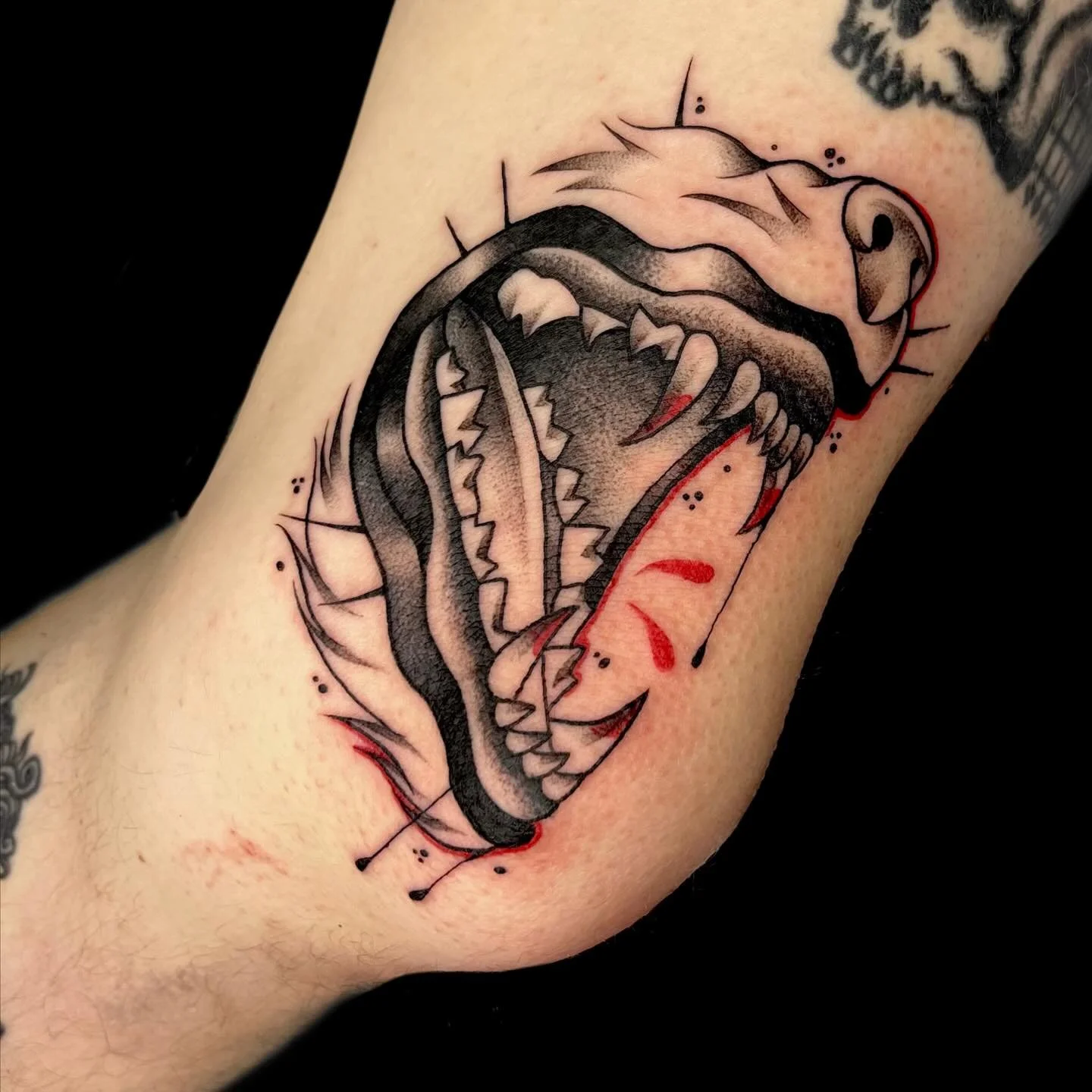 ARF ARF!!! Canine jaw for T 🐶 thank you so much i love how this turned out 💖💖💖💖
&mdash;
🖤 ink.bunni.tattoo@gmail.com
⚔️ done at @svatura 
⛓️ Made with:
@stencilstuff @spirittattooproducts @fkirons @thesolidink @worldfamousink @pantheraink @fyts