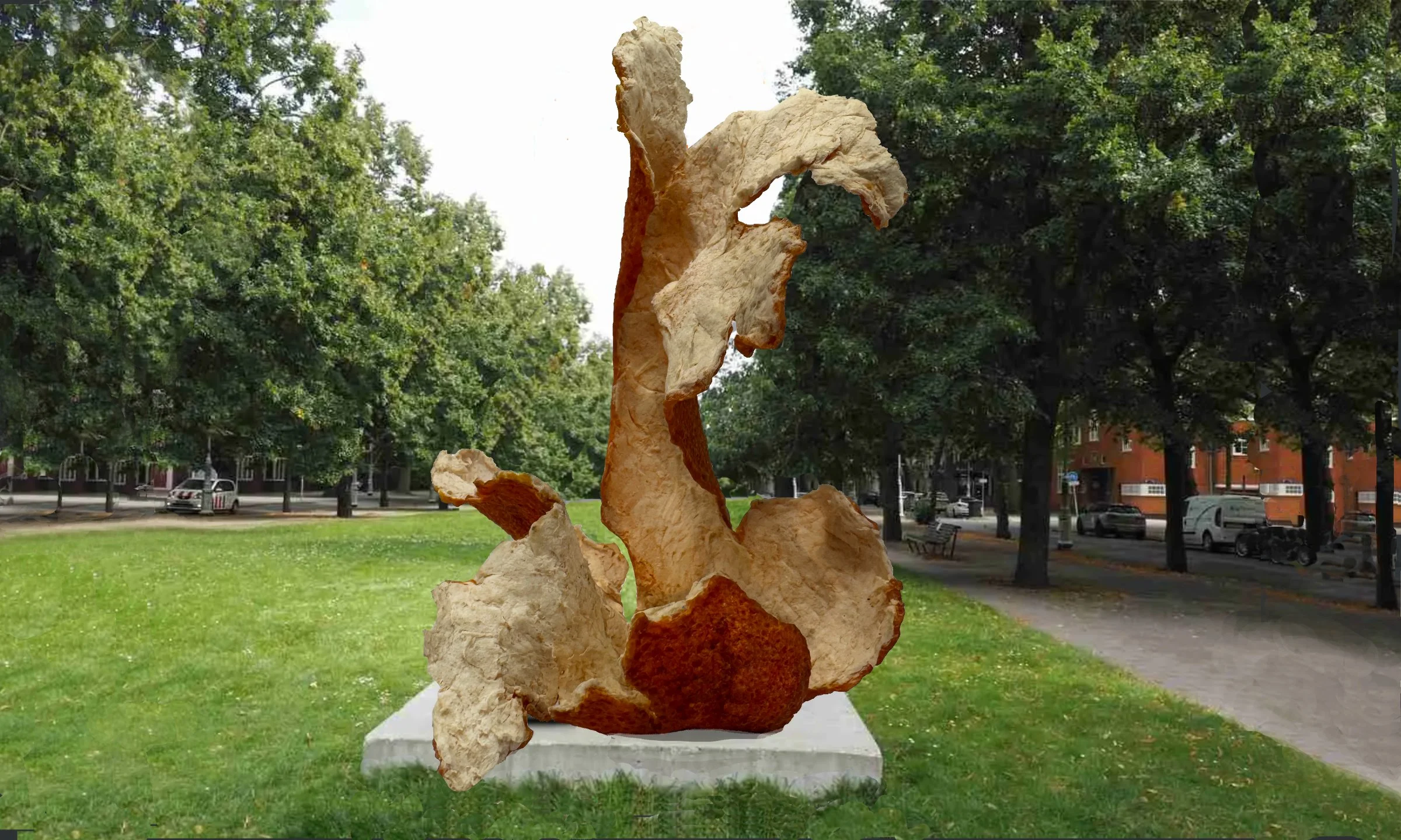 Wise Peels (Outdoor Concept)
