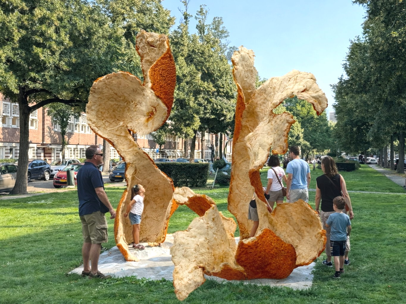 Wise Peel A B and AB with two Art Zuid backgrounds many people.png