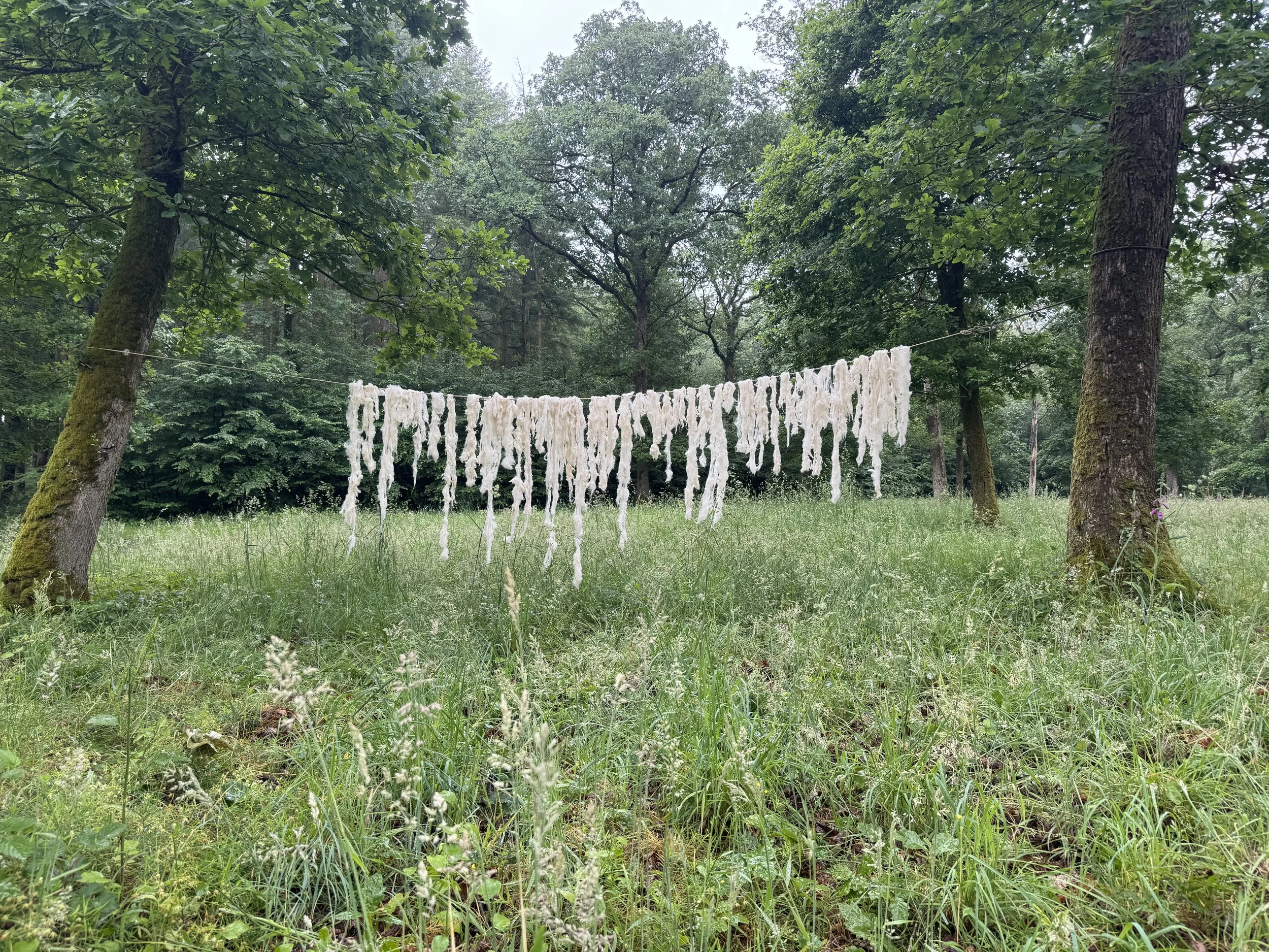 Woolcode - Land Art