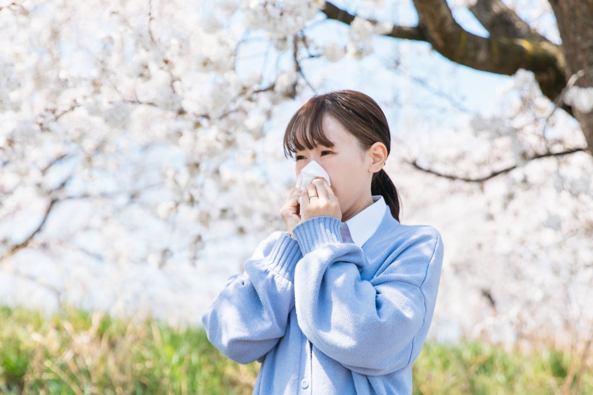 Hay Fever Headaches and Facial Pressure – How HACHIGA Method Seitai May Help