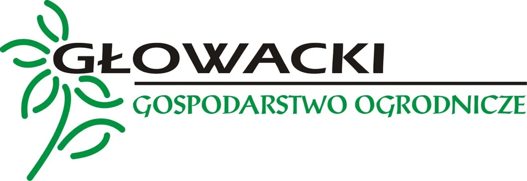 marcin głowacki.PNG