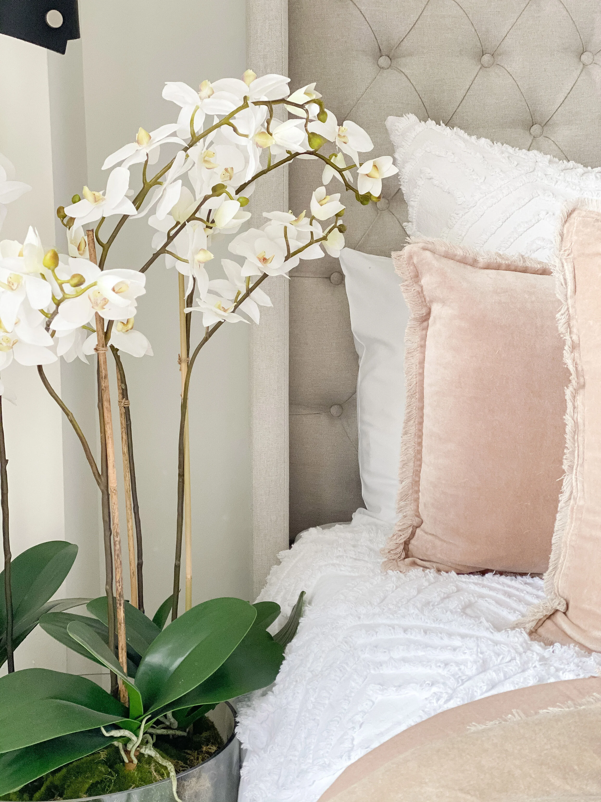 BedroomBlush5.jpg