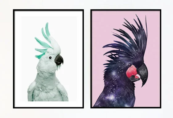 Prints.jpg