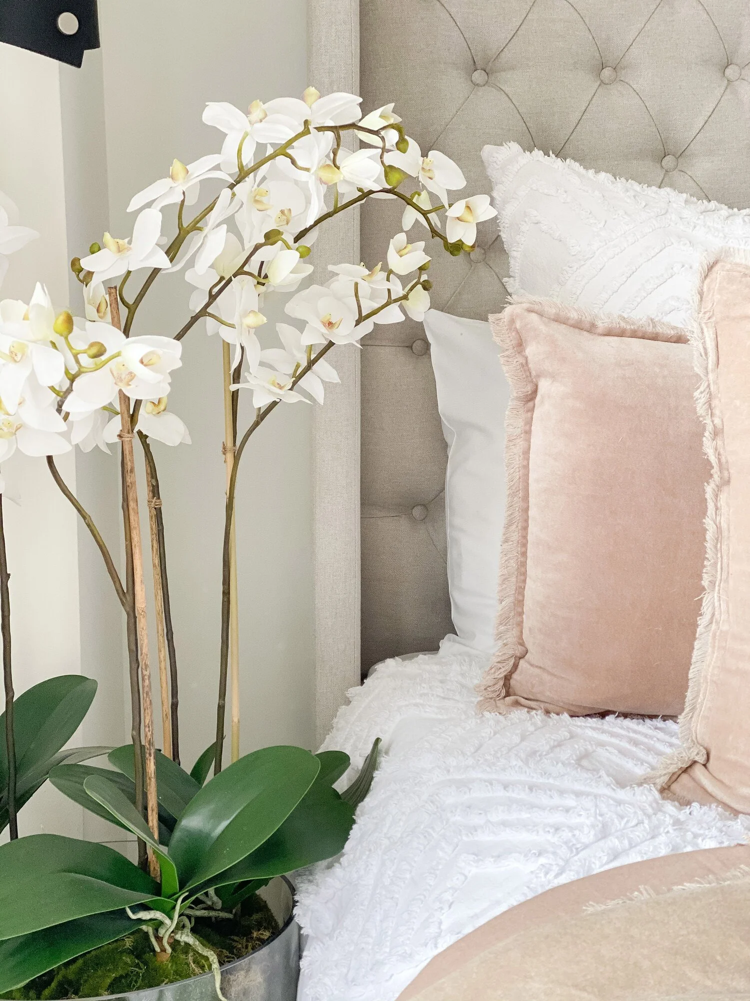 BedroomBlush5.jpg