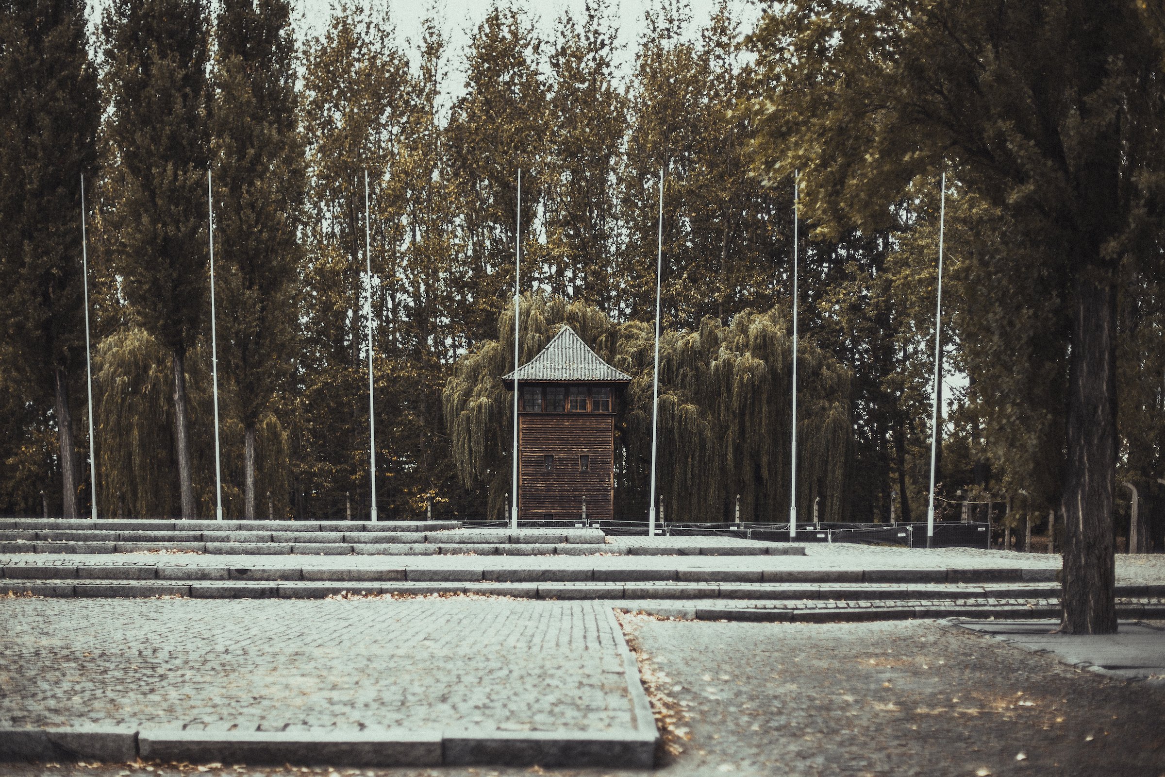 auschwitz-52.jpg