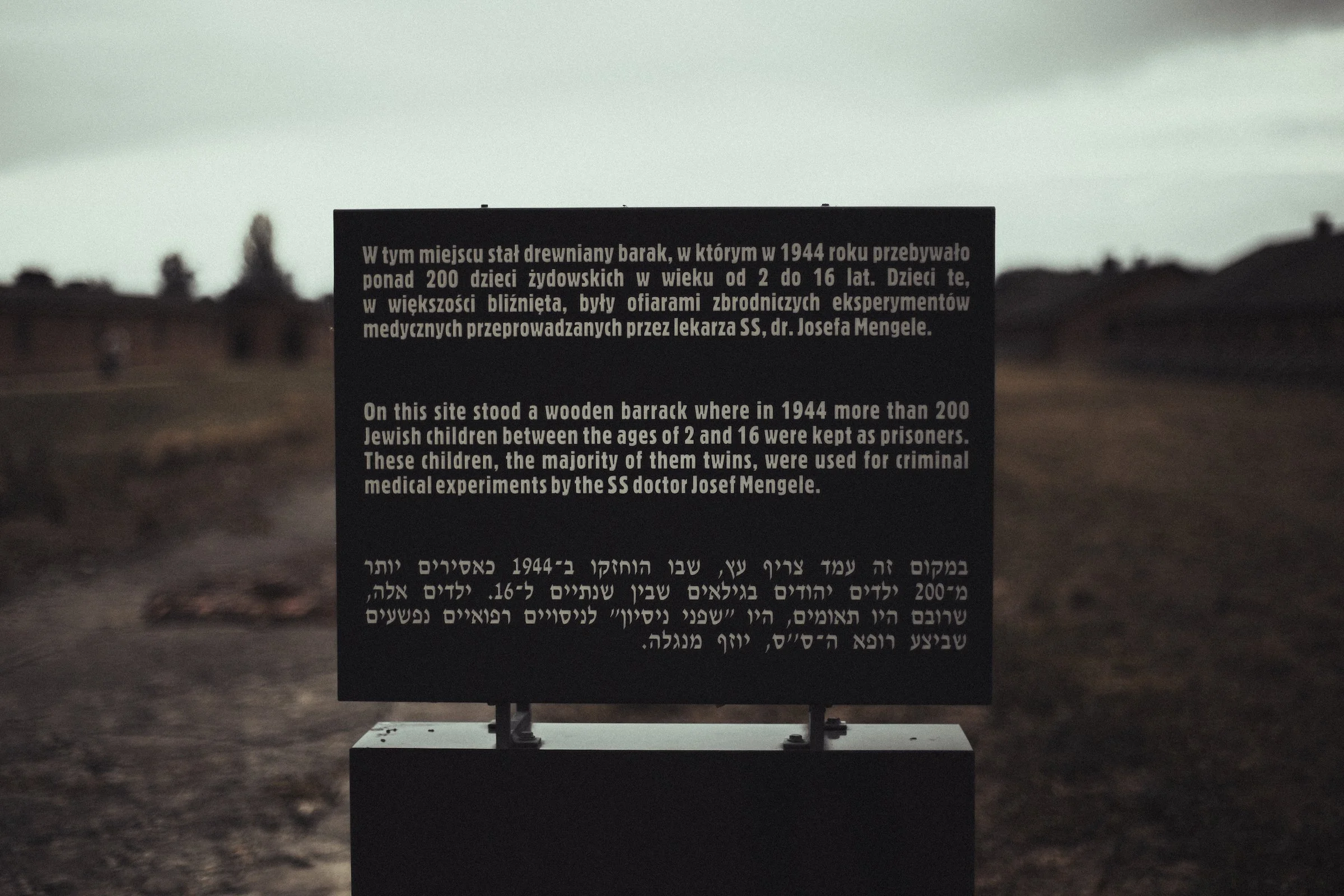 auschwitz-66.jpg