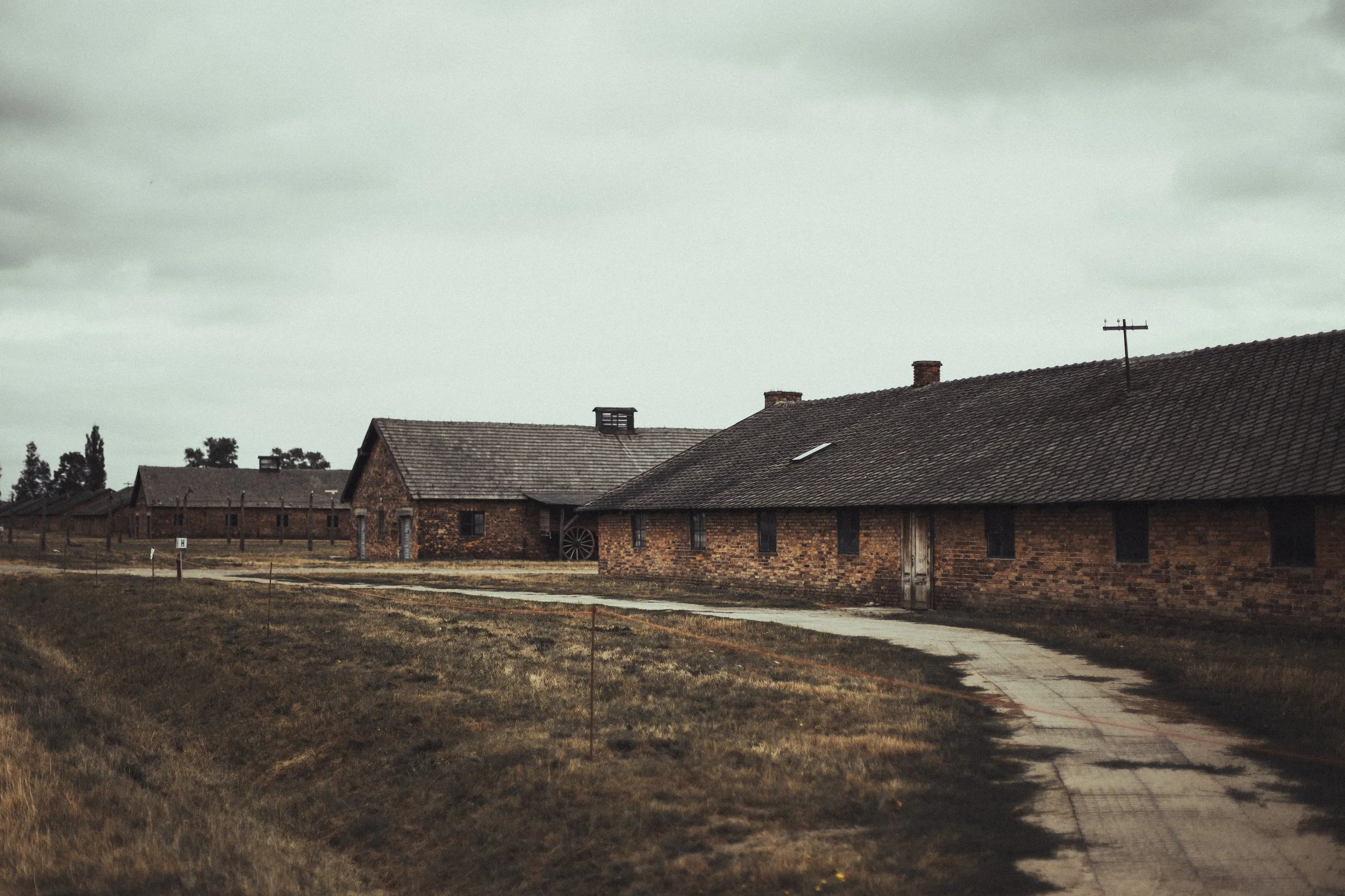 auschwitz-59.jpg