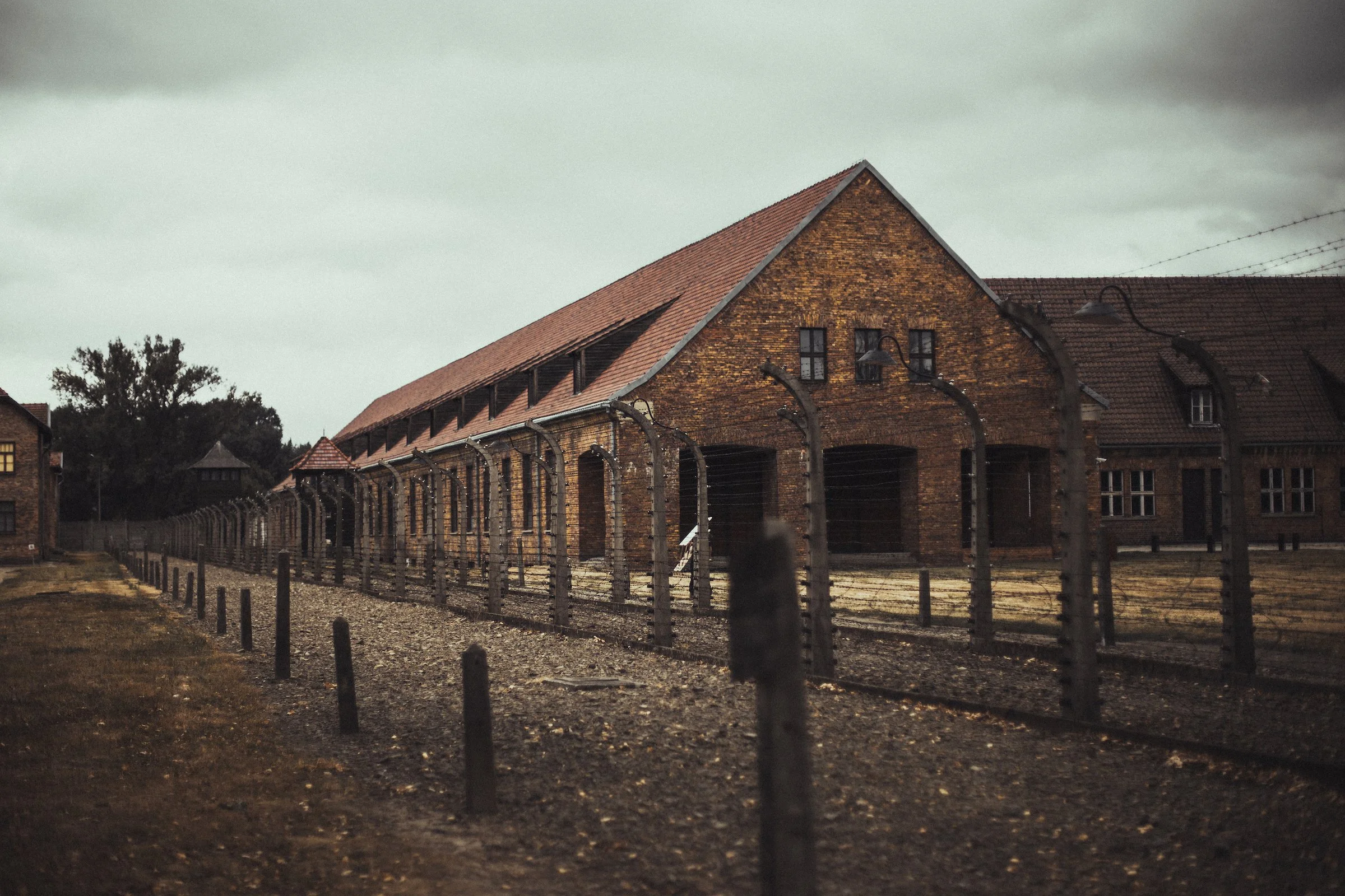 auschwitz-5.jpg
