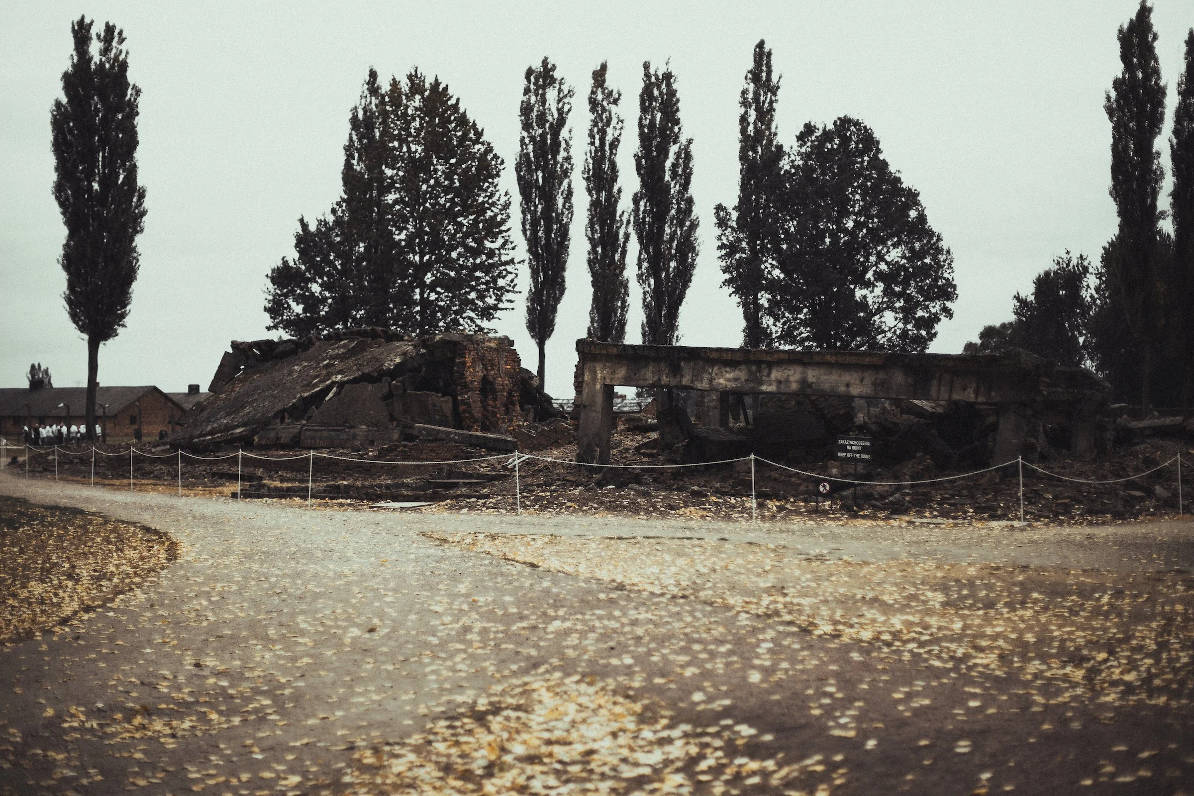 auschwitz-51.jpg