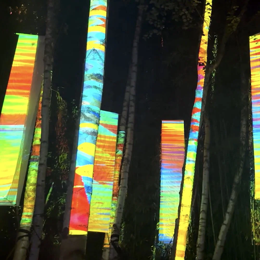Luminous Forest