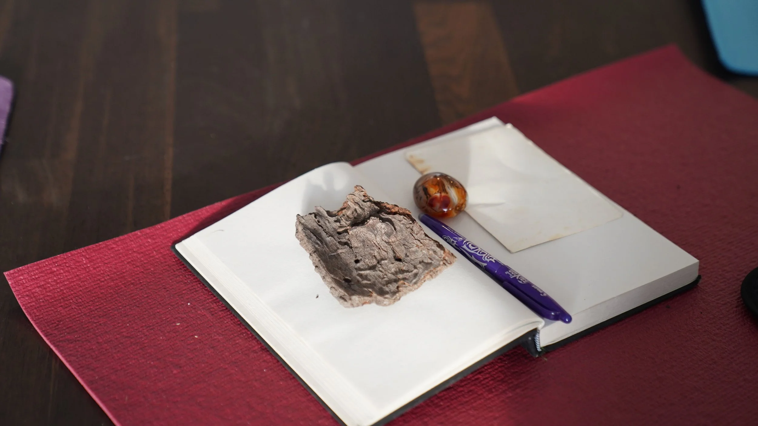 Manifestation Course