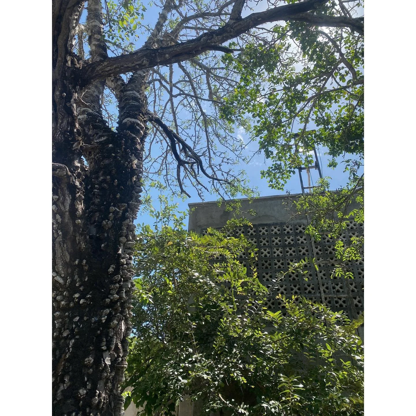 Coastal Dwelling - Under Construction
.⁠
.⁠
.⁠
.⁠
Collaborator: @studio_mehta 
Builder: @headstreamconstruction
#osarchitecture #objectsubjectarchitecture #architecture #kenyanarchitecture #kenyanarchitects #design #kenyandesign #coastaldwelling #con