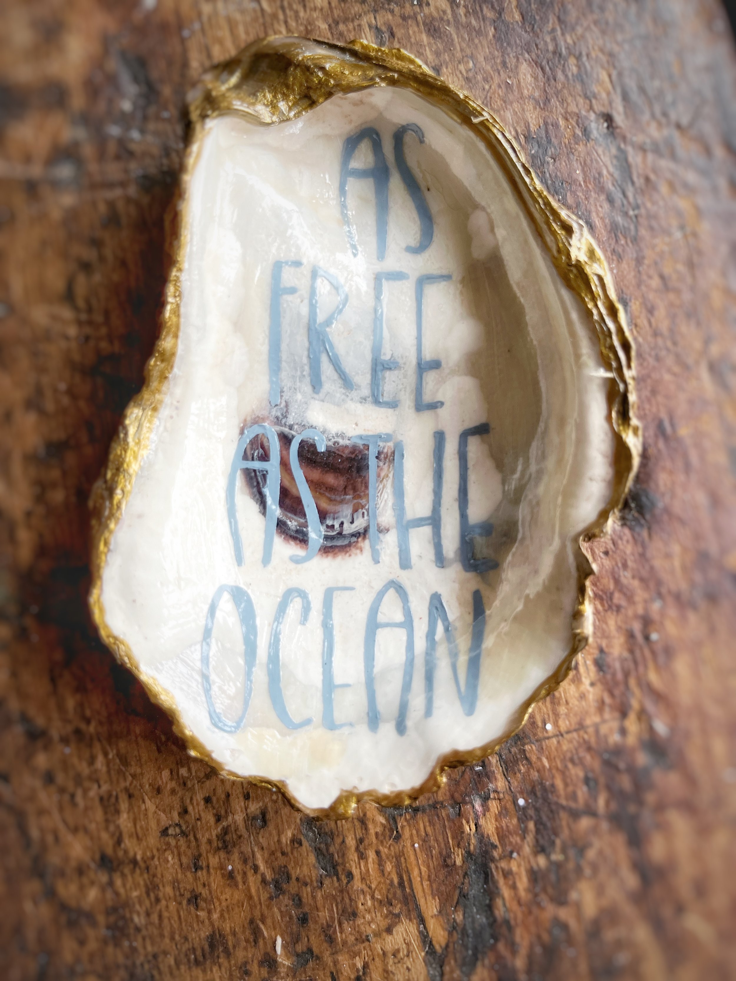 "Mumbled By Mermaids"
Hand-painted wild oysters from Mill River.