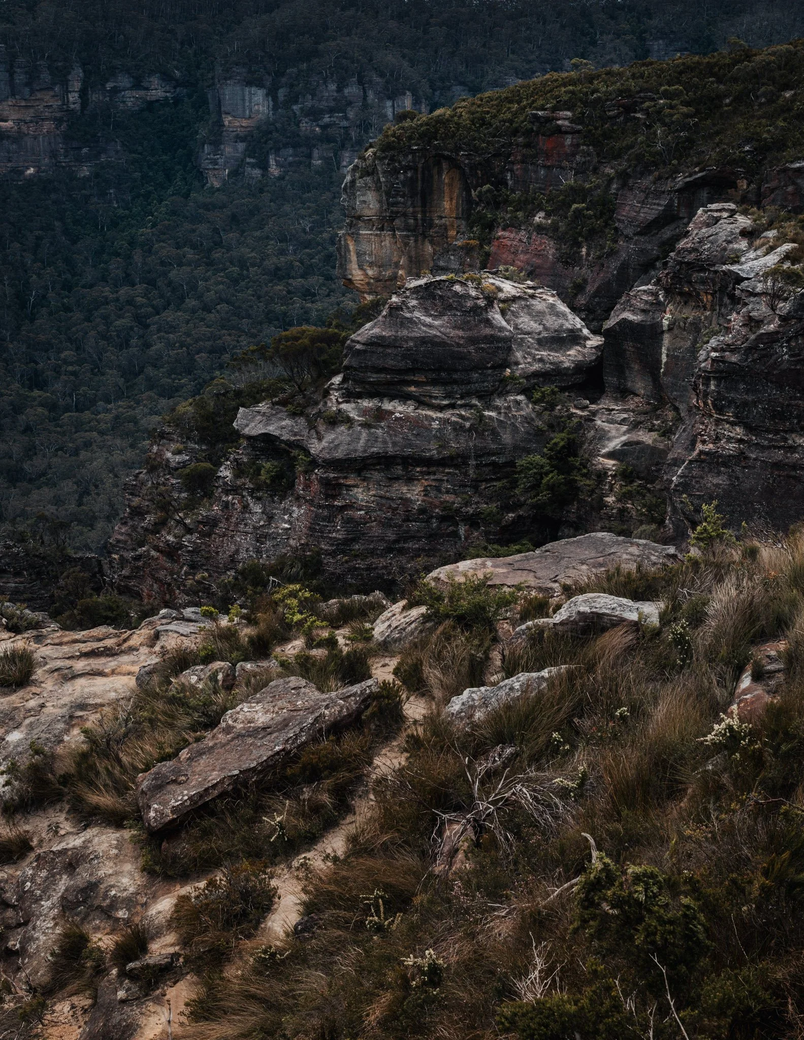 Boar's Head Lookout Katoomba - Rod Cage Photography-2.jpg