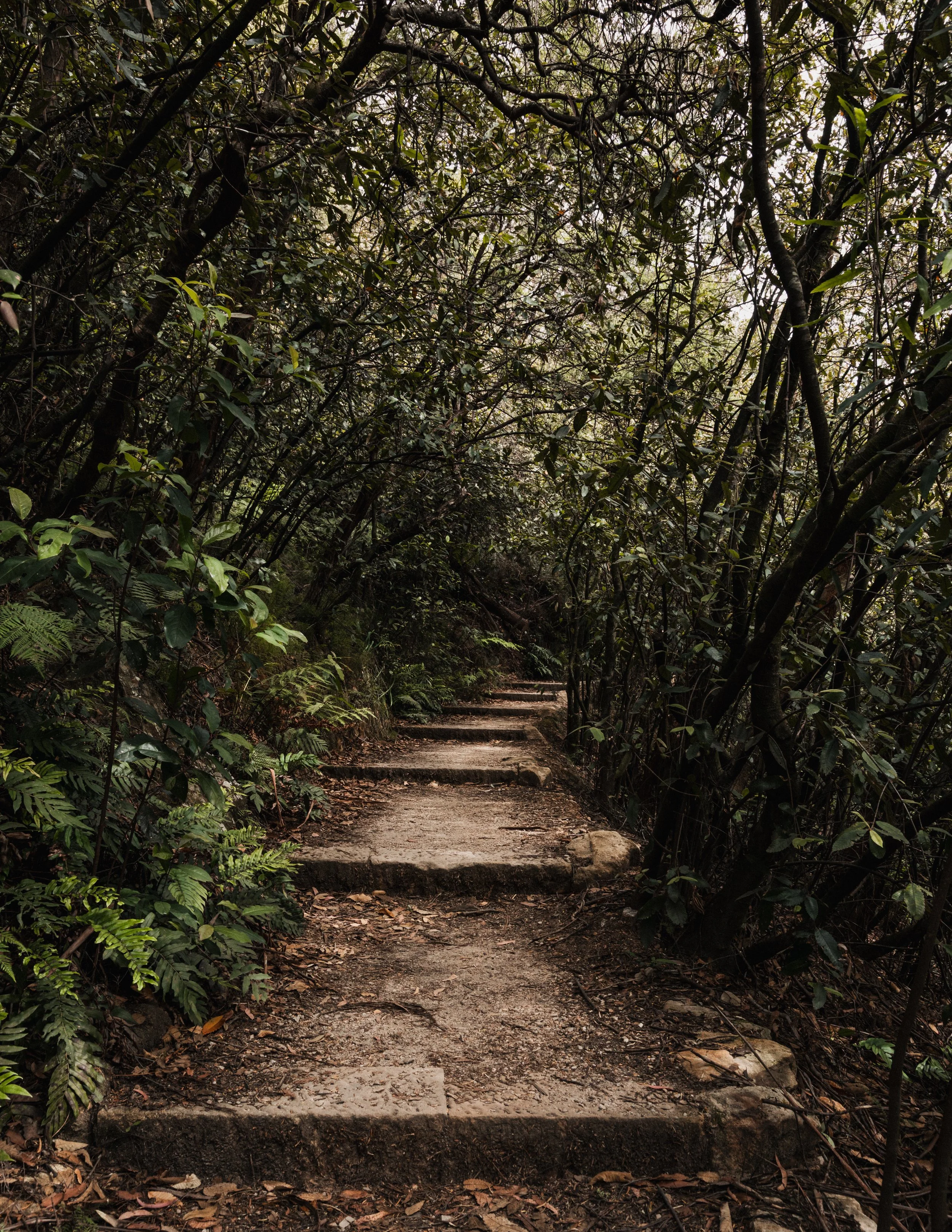 Bluey's (1 of 1)-2.jpg