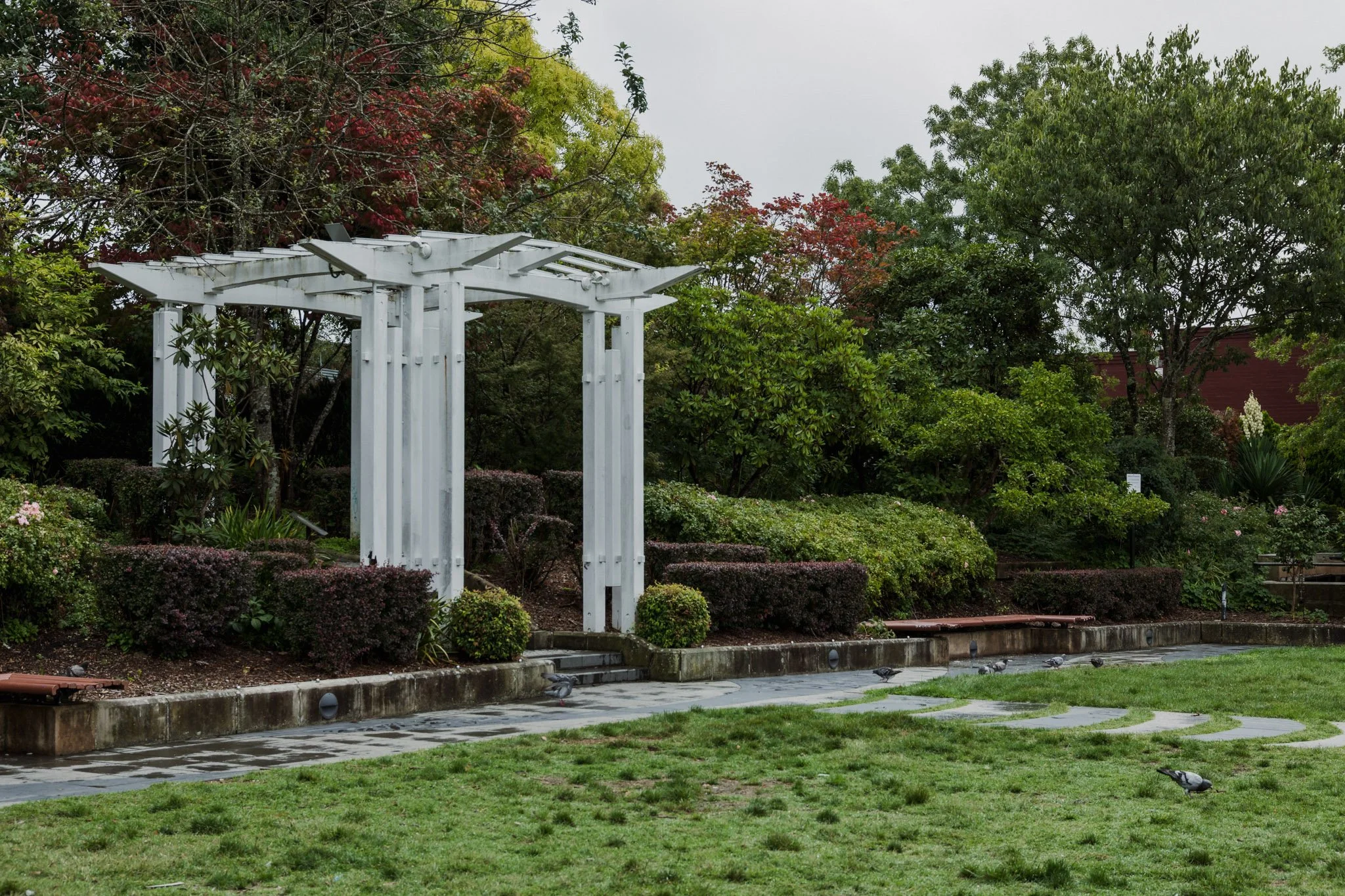 Carrington hotel Garden Entrance - Katoomba - Rod Cage Photography.jpg