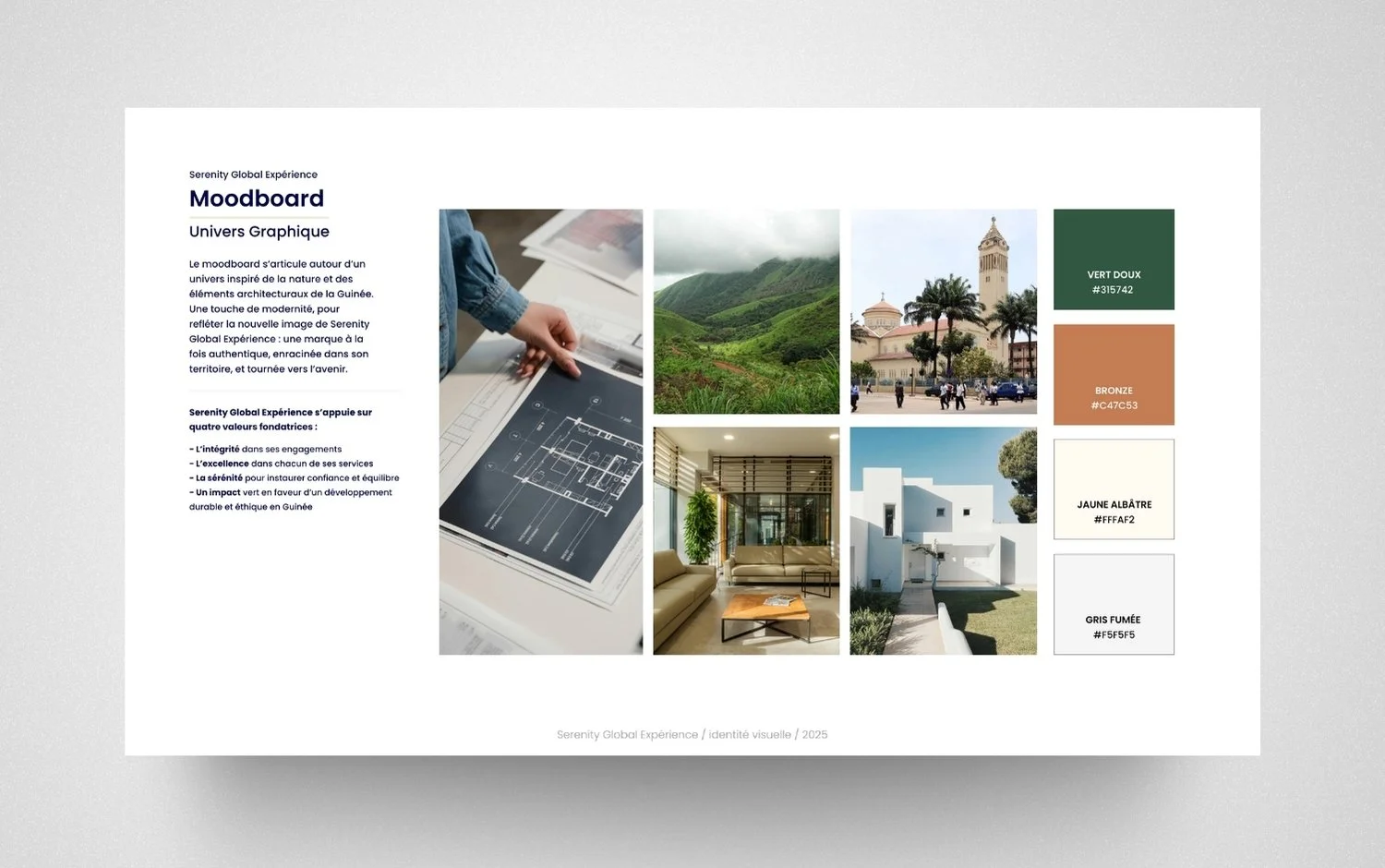 SGE identité visuelle5.jpg