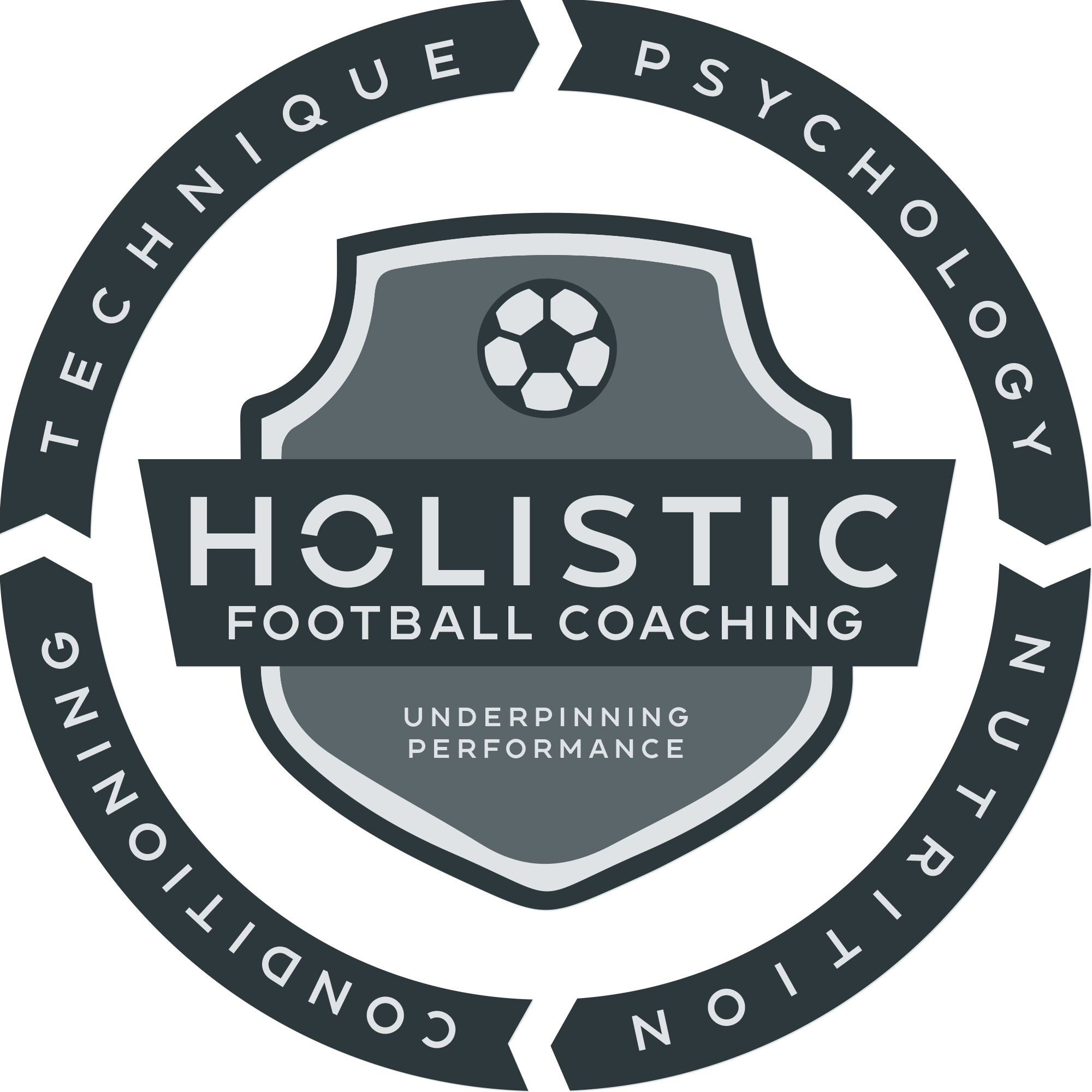 Transparent logo.png