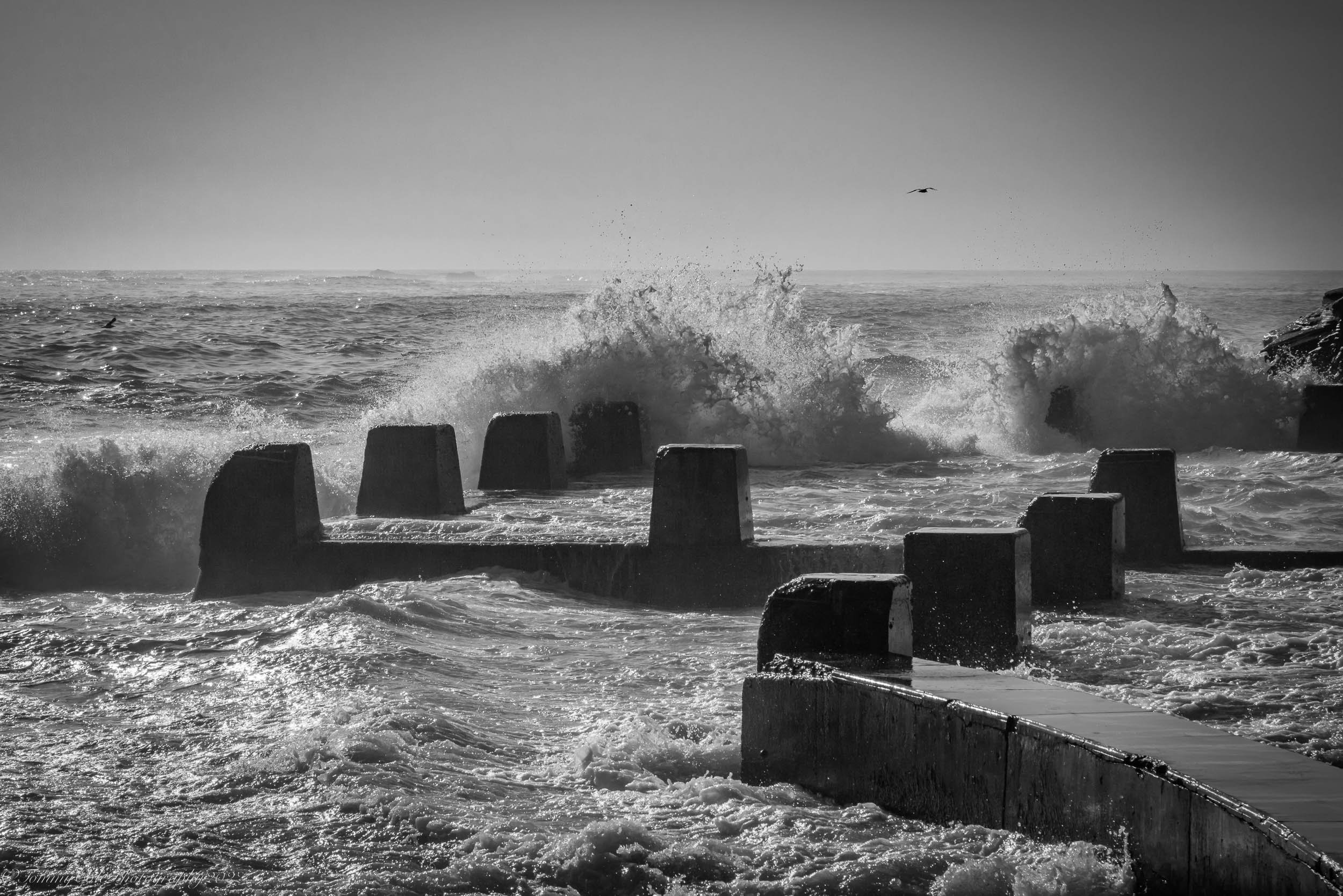 Coogee Rock Pool_WEB_FILE.jpg