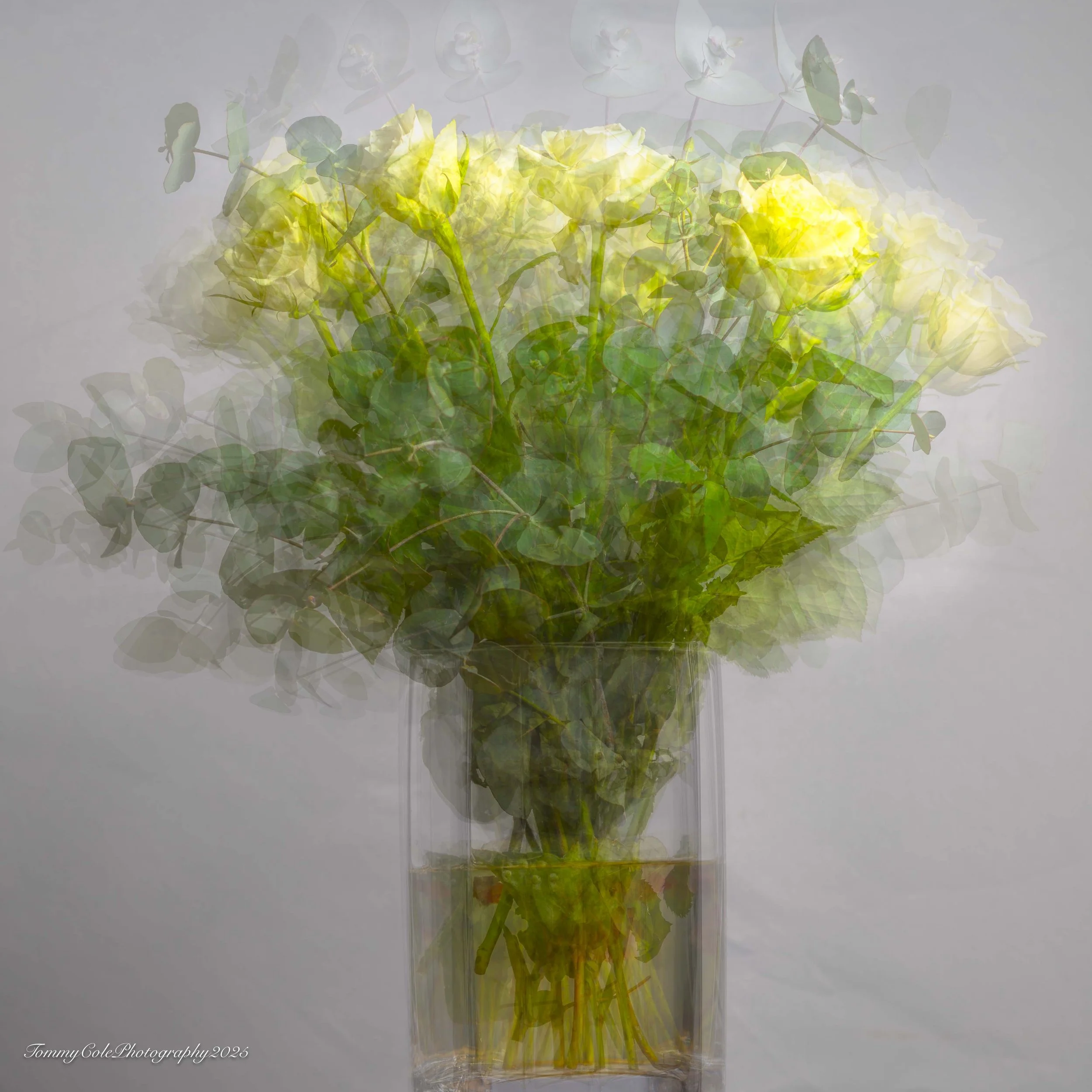 A glass vase filled with green foliage and pale yellow flowers, with a subtle overlapping and double exposure effect.