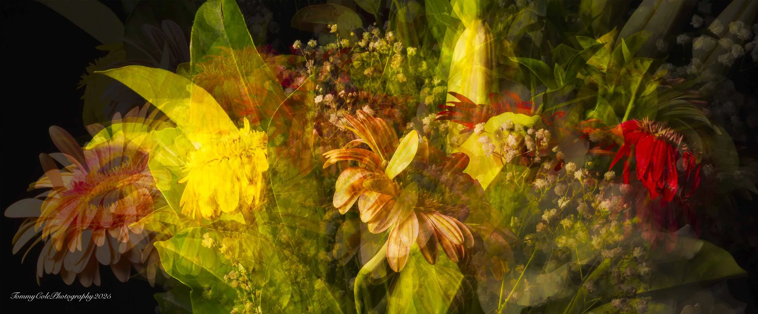 Overlapping images of colorful flowers with yellow, orange, red, pink, and white blooms and green leaves, creating a layered garden scene.