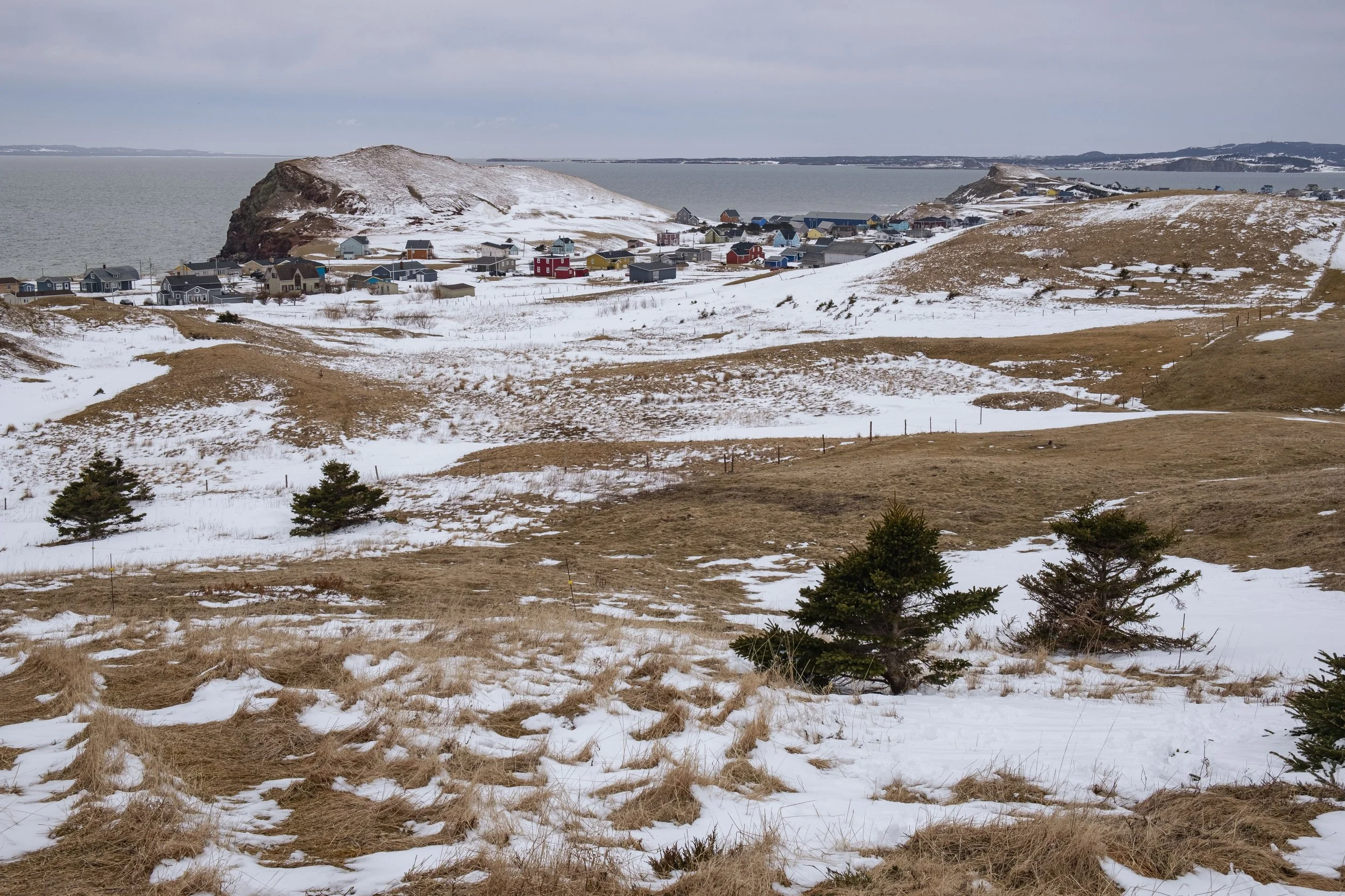 DSCF6853.jpg