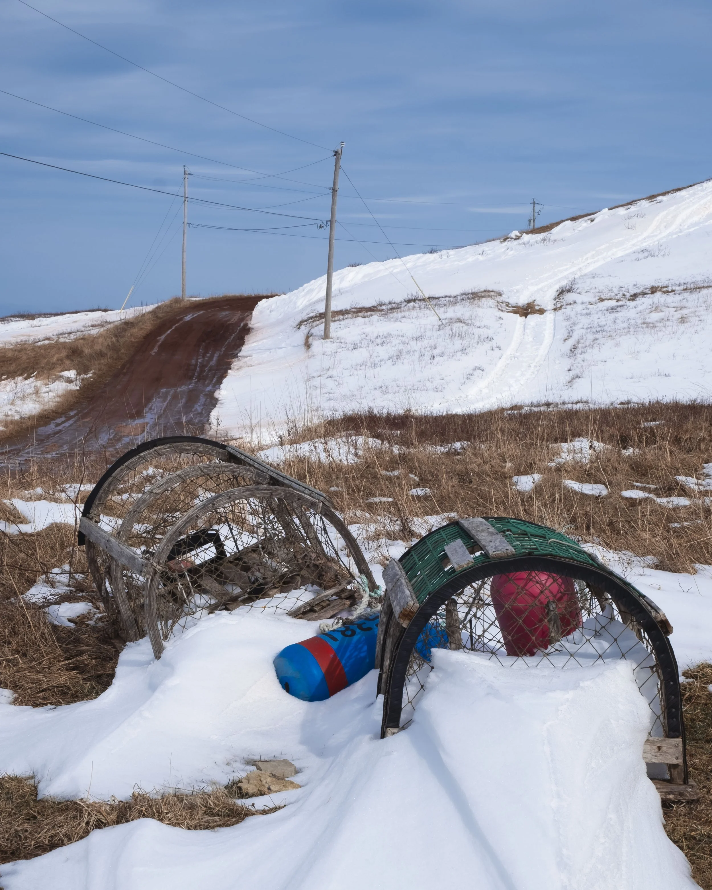 DSCF6844.jpg