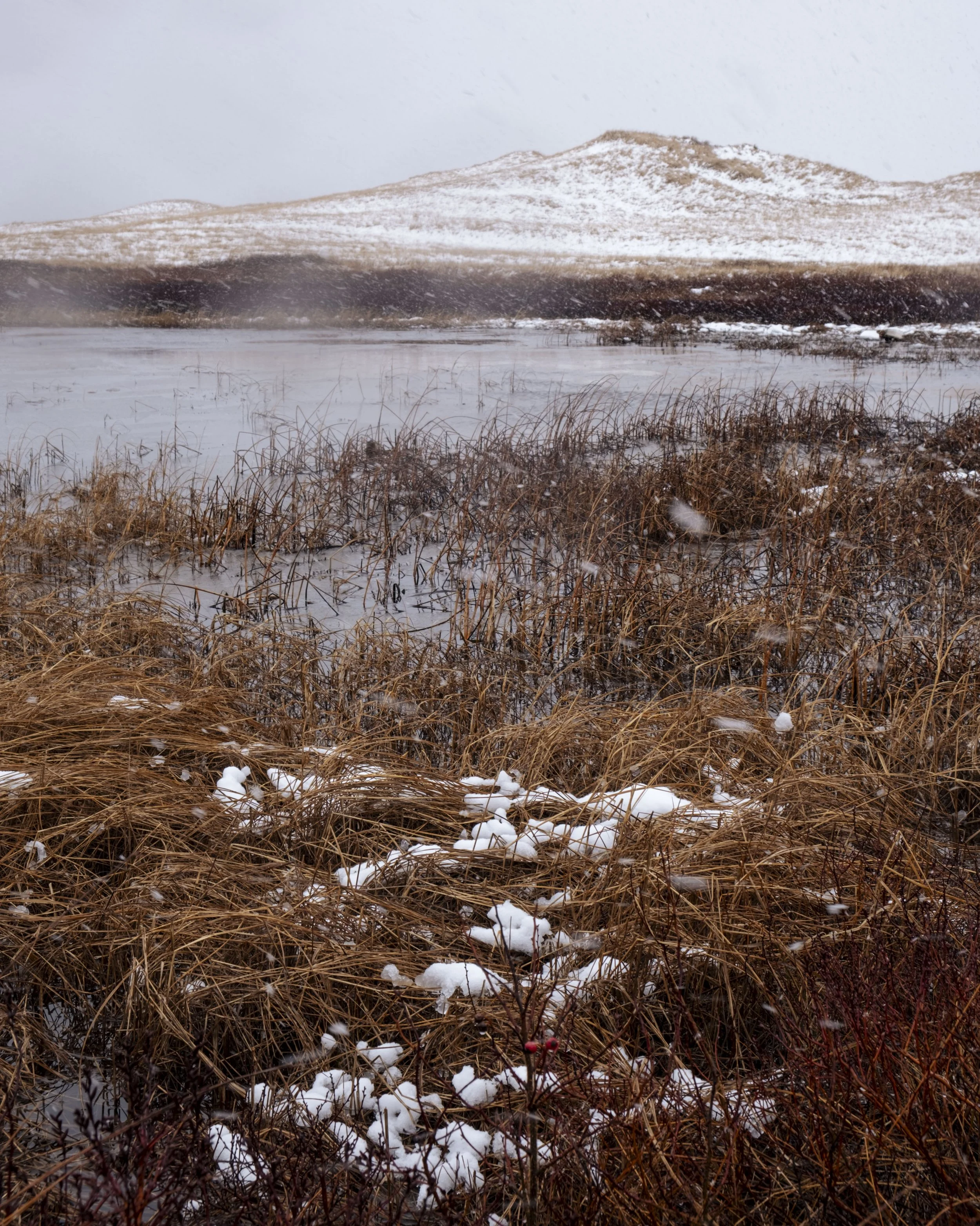 DSCF7094.jpg