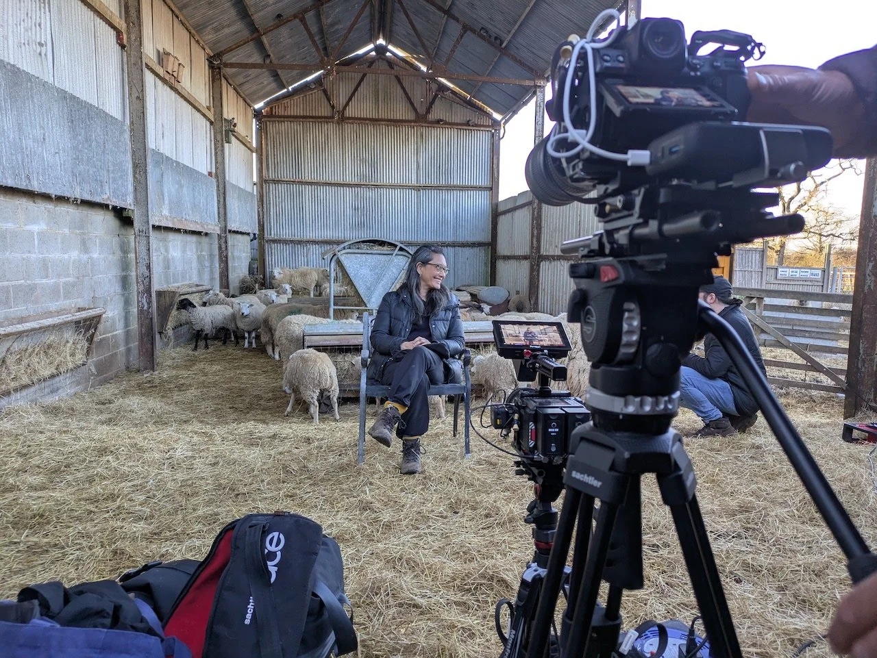 Institute of Humane Education Online Screening
