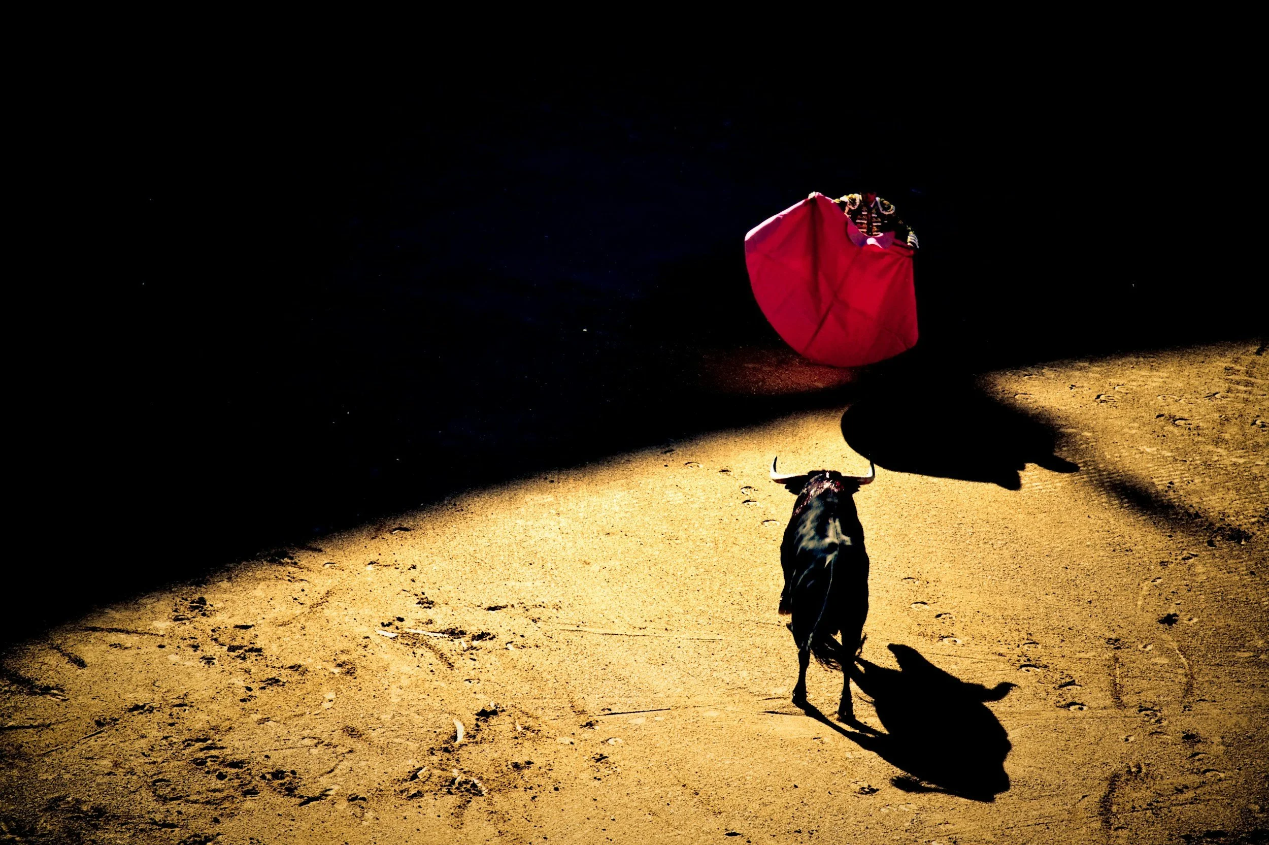 Comment: The UN Said Children Must Be Protected From Animal Violence
