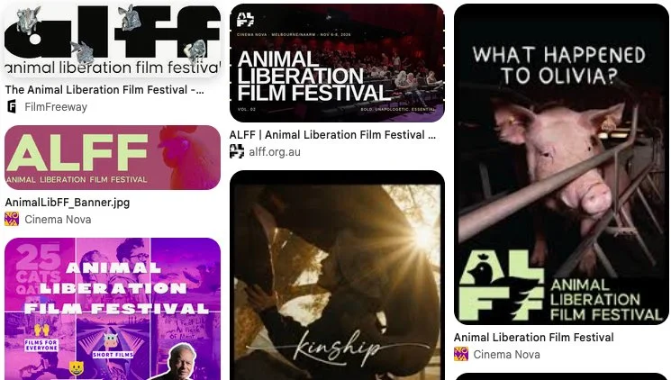 The Animal Liberation Film Festival (in person)